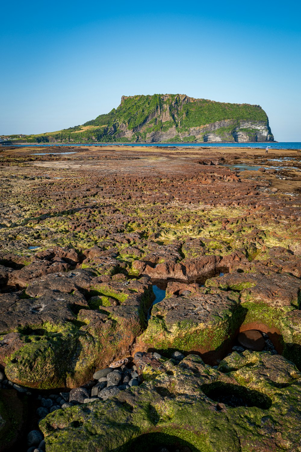 a rocky beach with green moss growing on the rocks