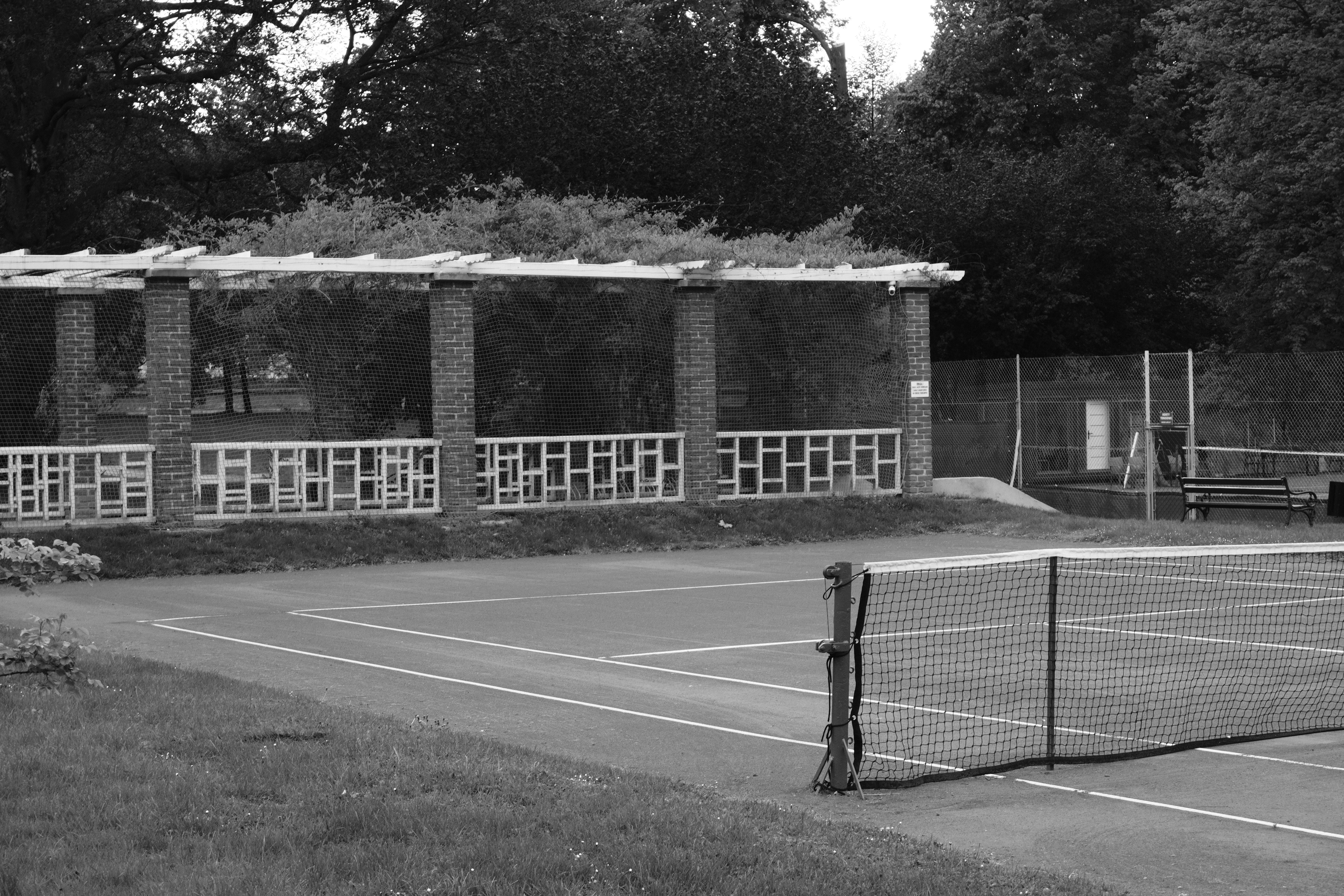 Arbutus Court Park