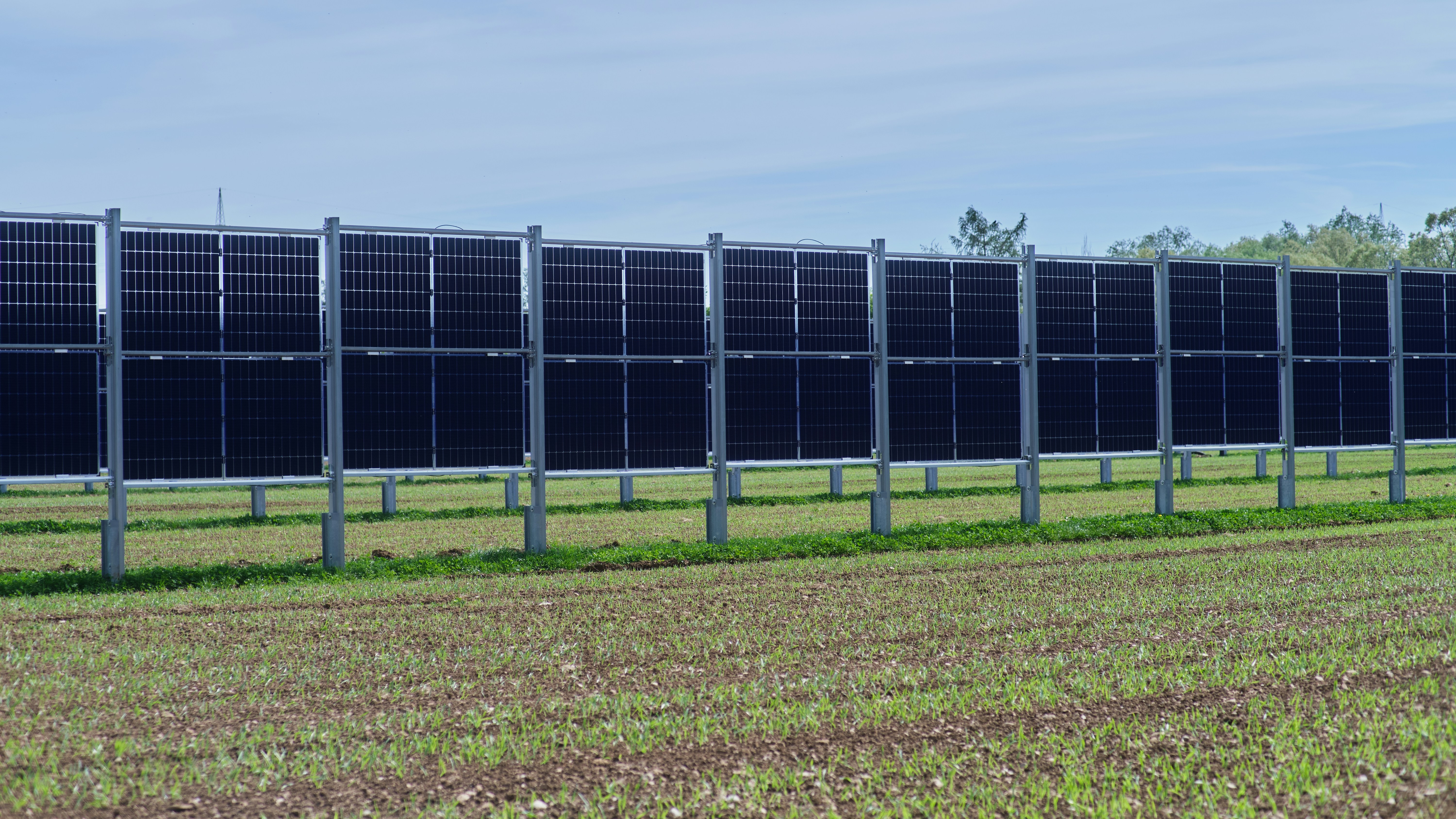 a row of solar panels in a field