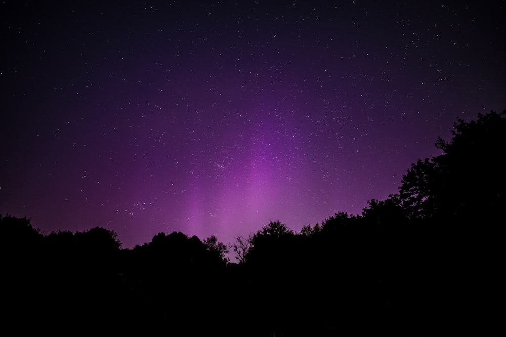 a purple and black sky filled with stars and trees