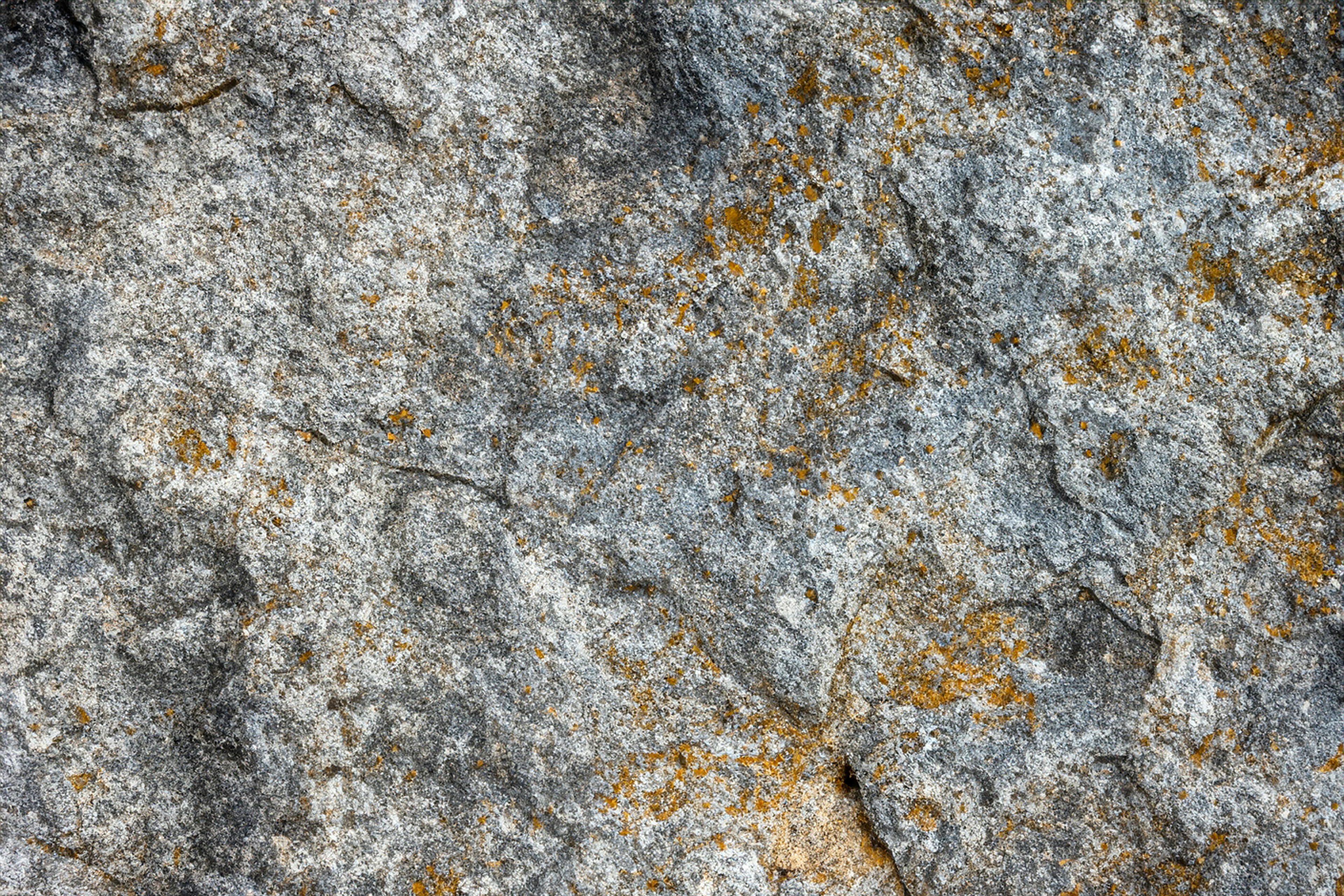 a close up of a rock with lichen on it