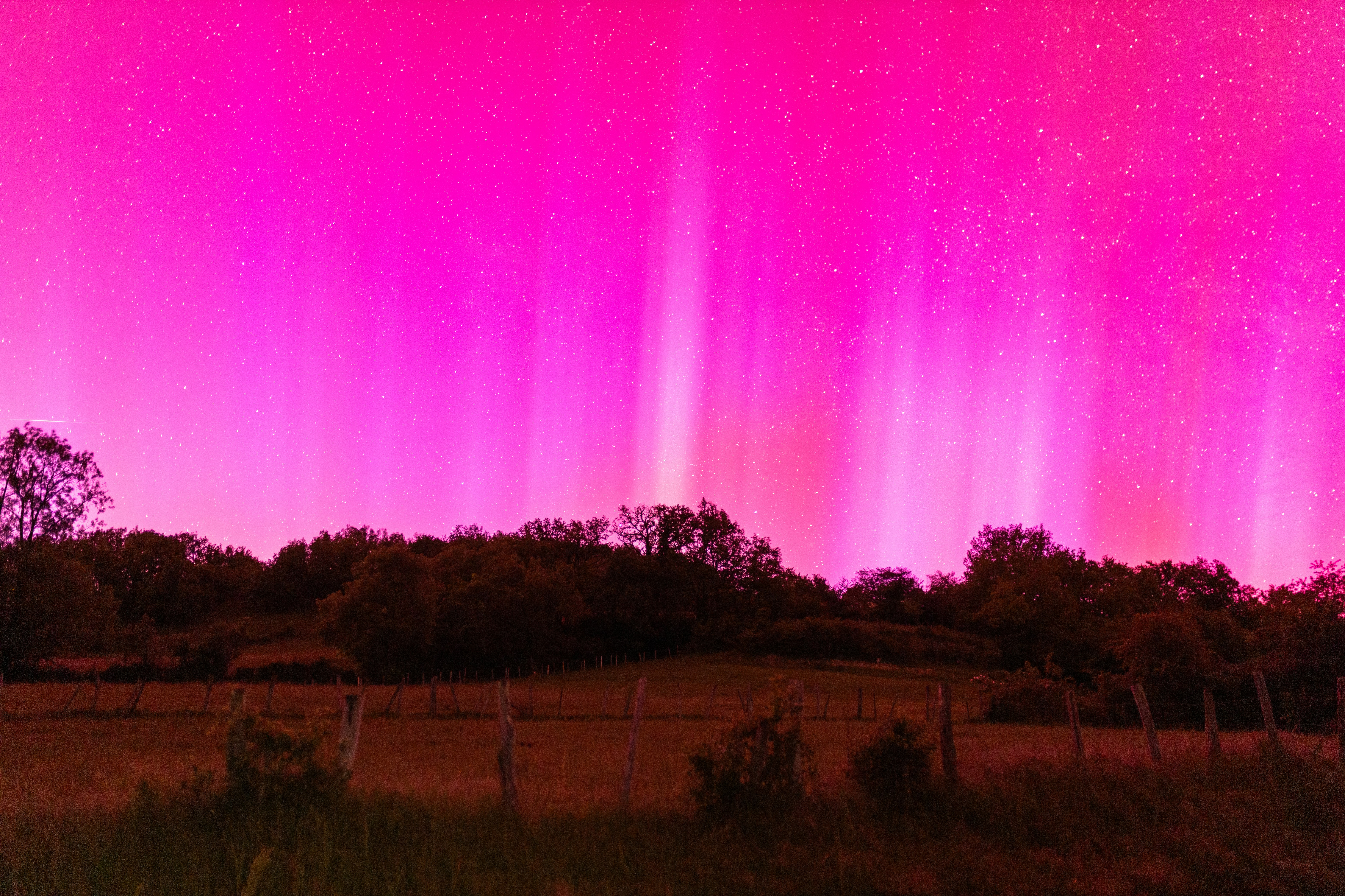 a field with trees and a fence under a purple sky