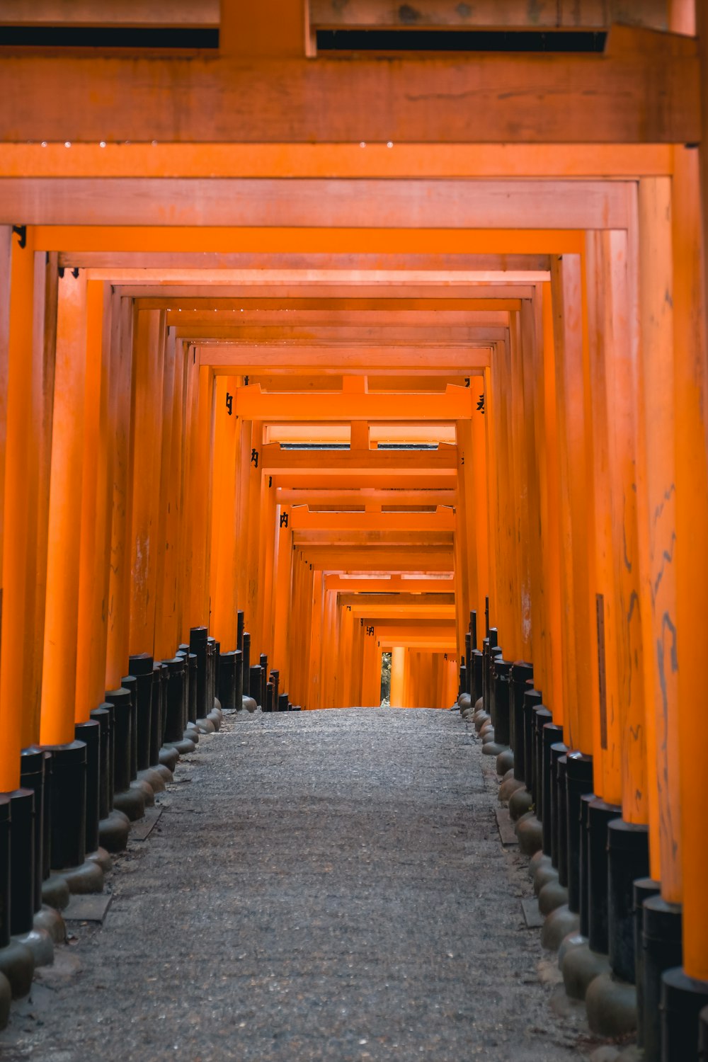 a walkway lined with rows of orange tori tori tori tori tori tori tori tori tori