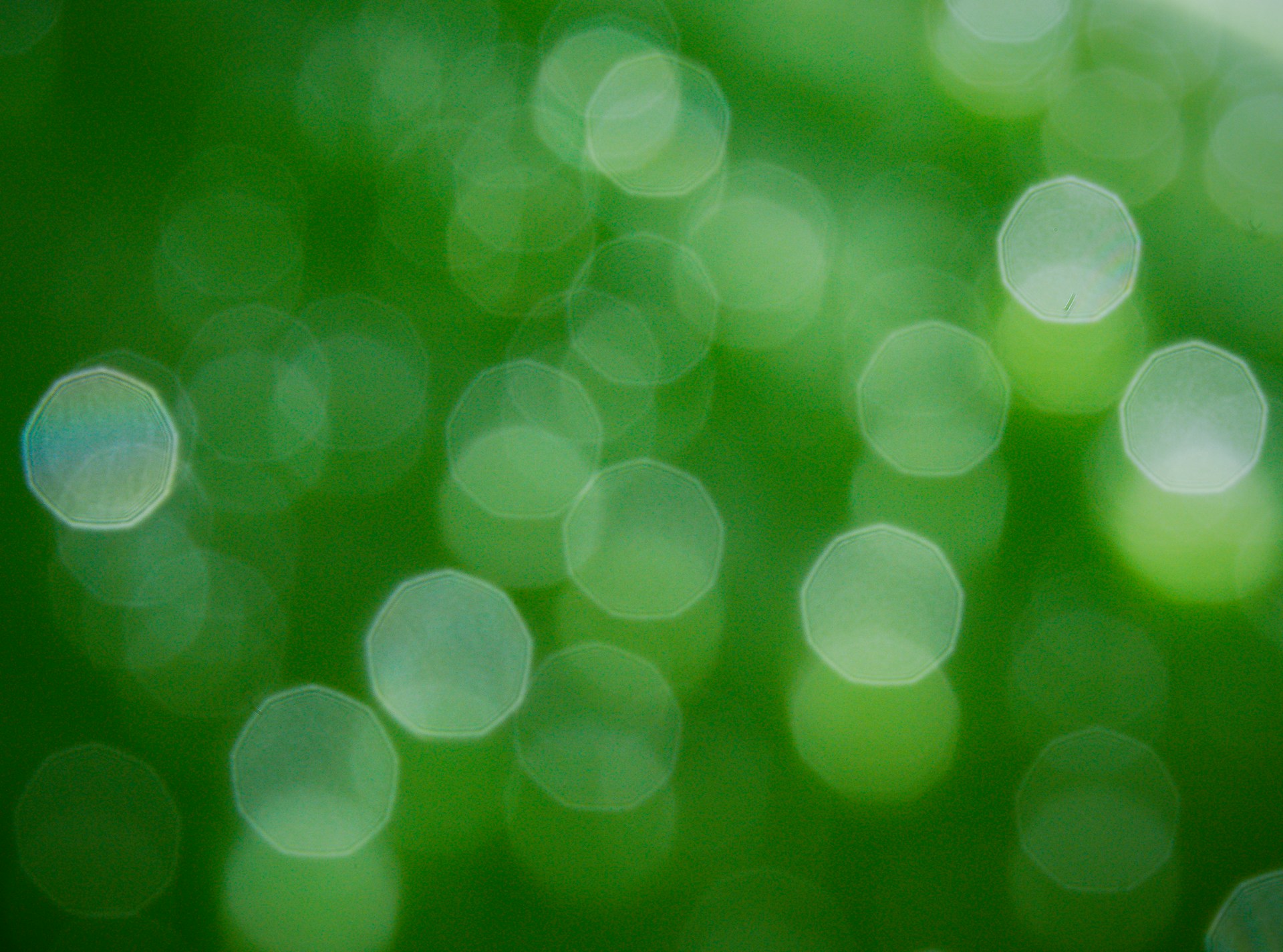 a blurry photo of a green background