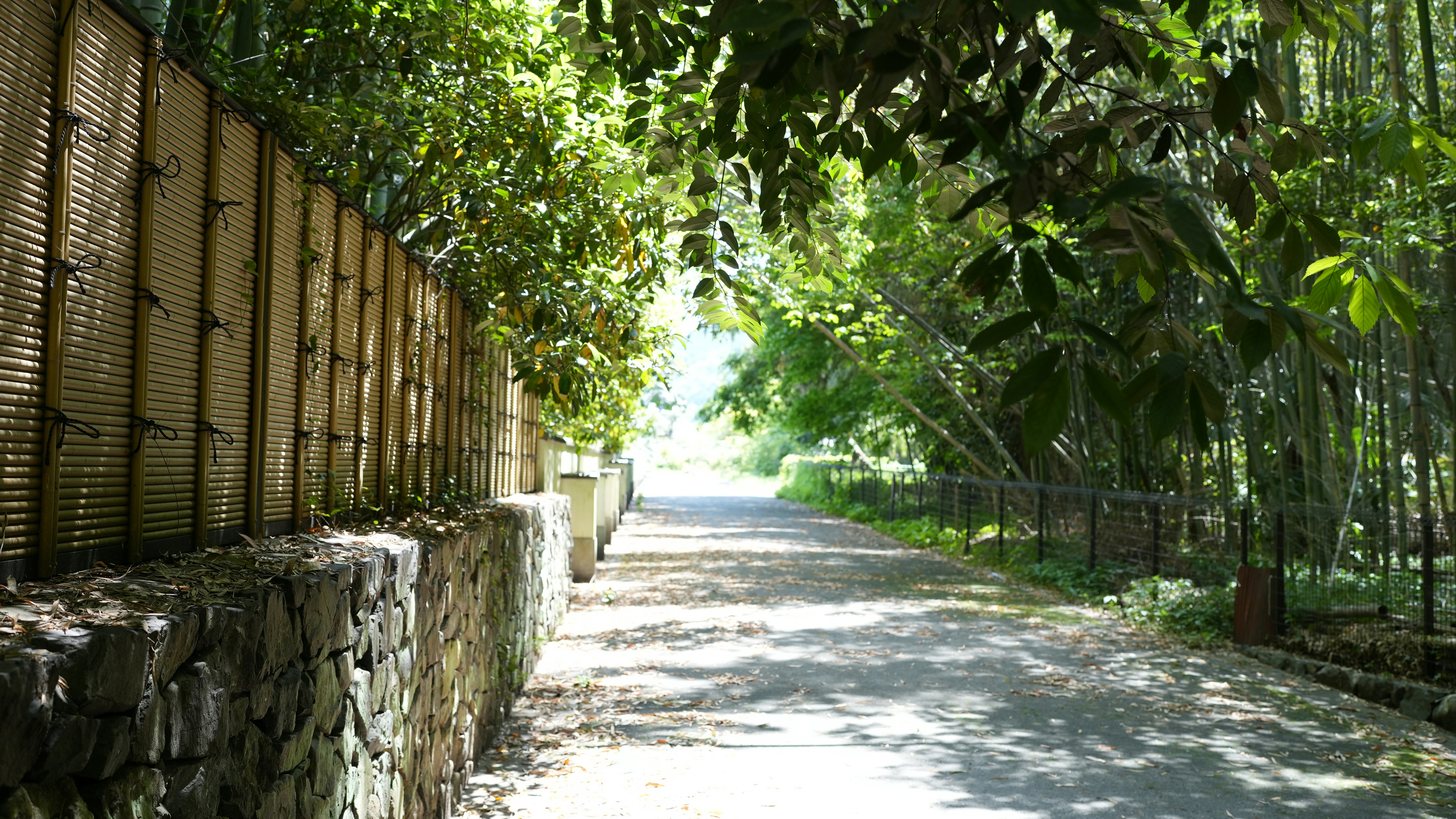 Photo by hyewonphotography