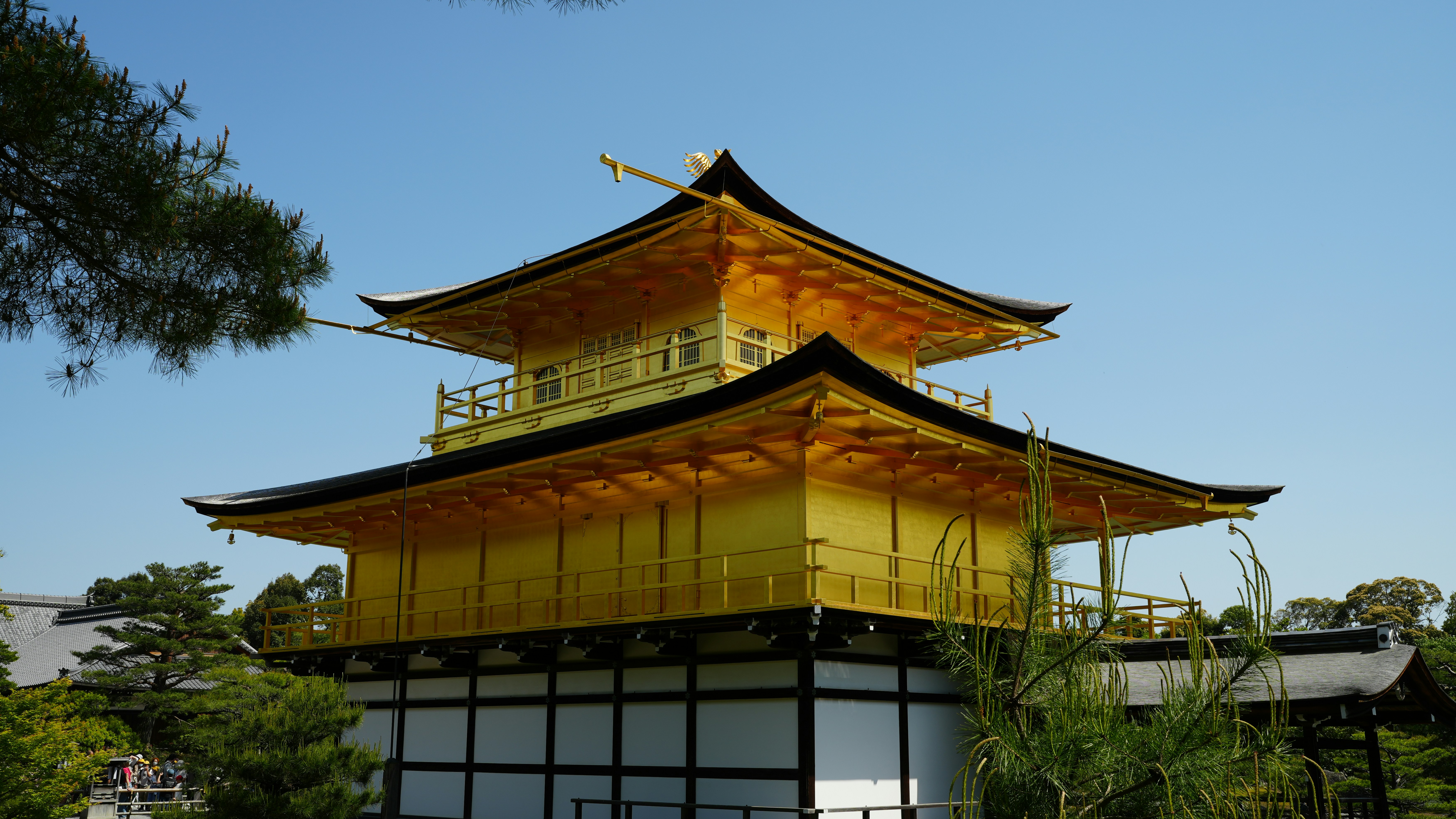 a tall yellow and black building sitting in the middle of a forest