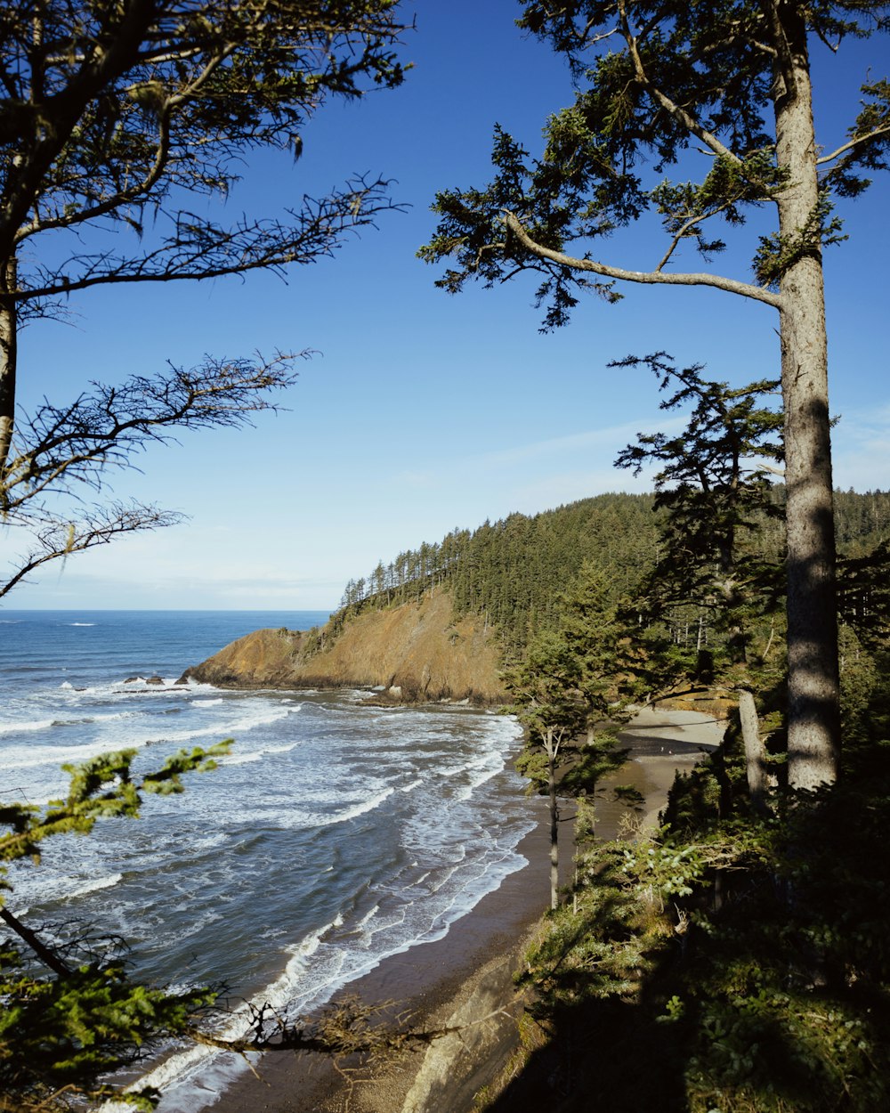 a scenic view of the ocean from a cliff