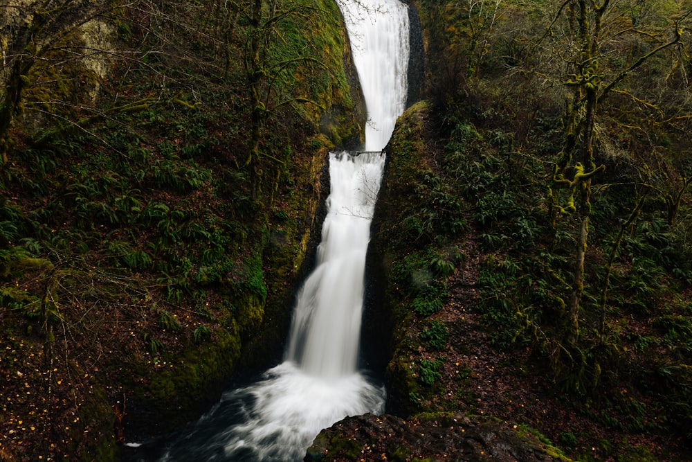 a waterfall in the middle of a forest