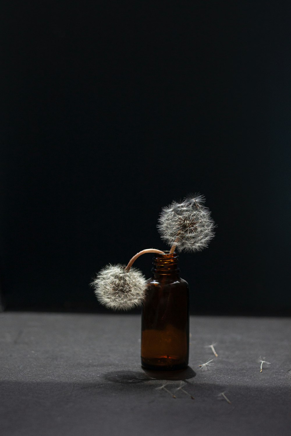 a bottle filled with a dandelion sitting on top of a table