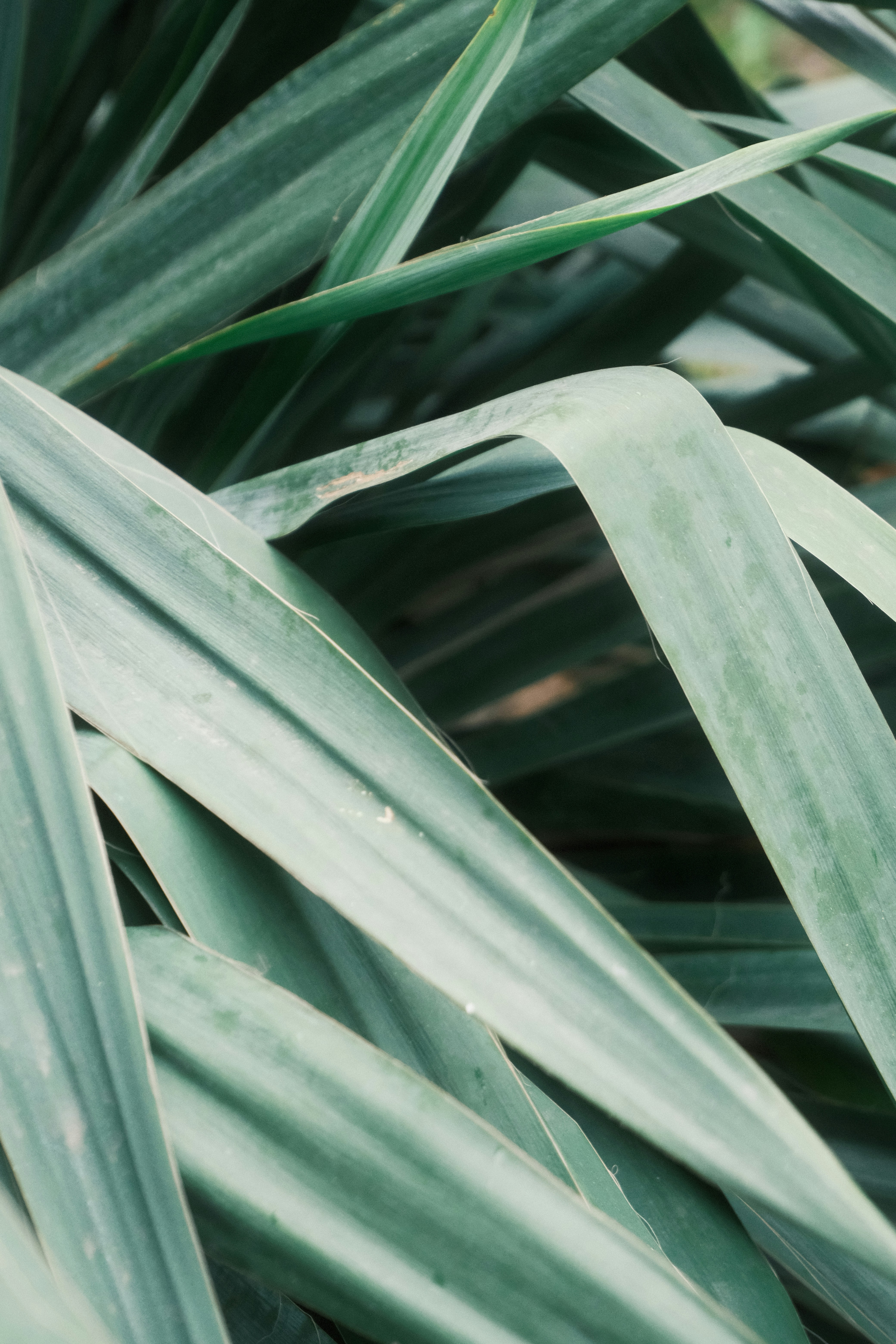 Photo by dawid_kochman