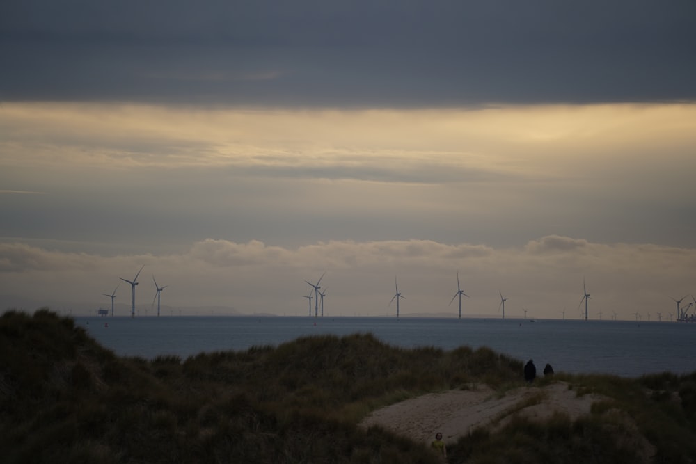 a group of wind mills in the distance