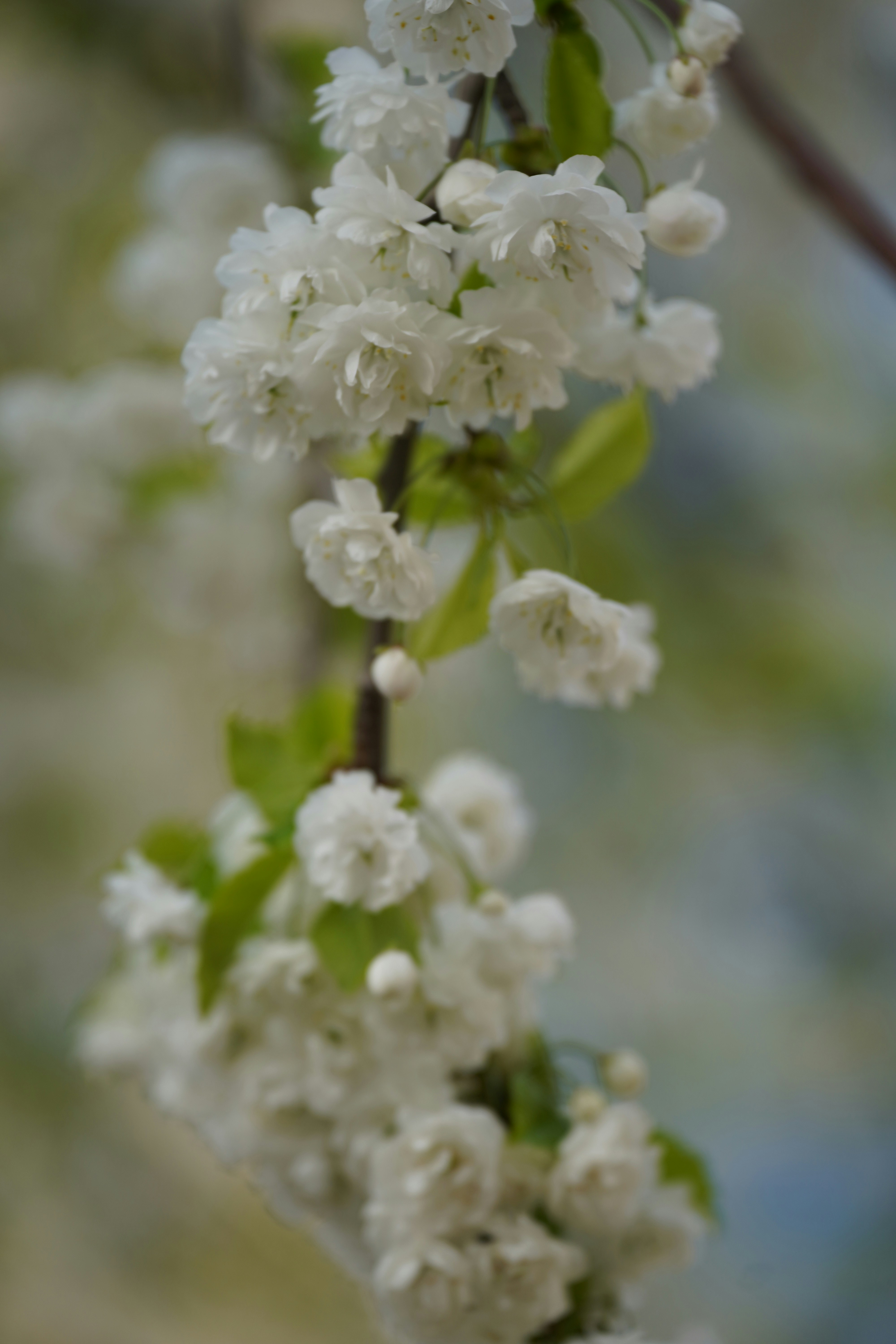 Photo by zero0clockjpeg