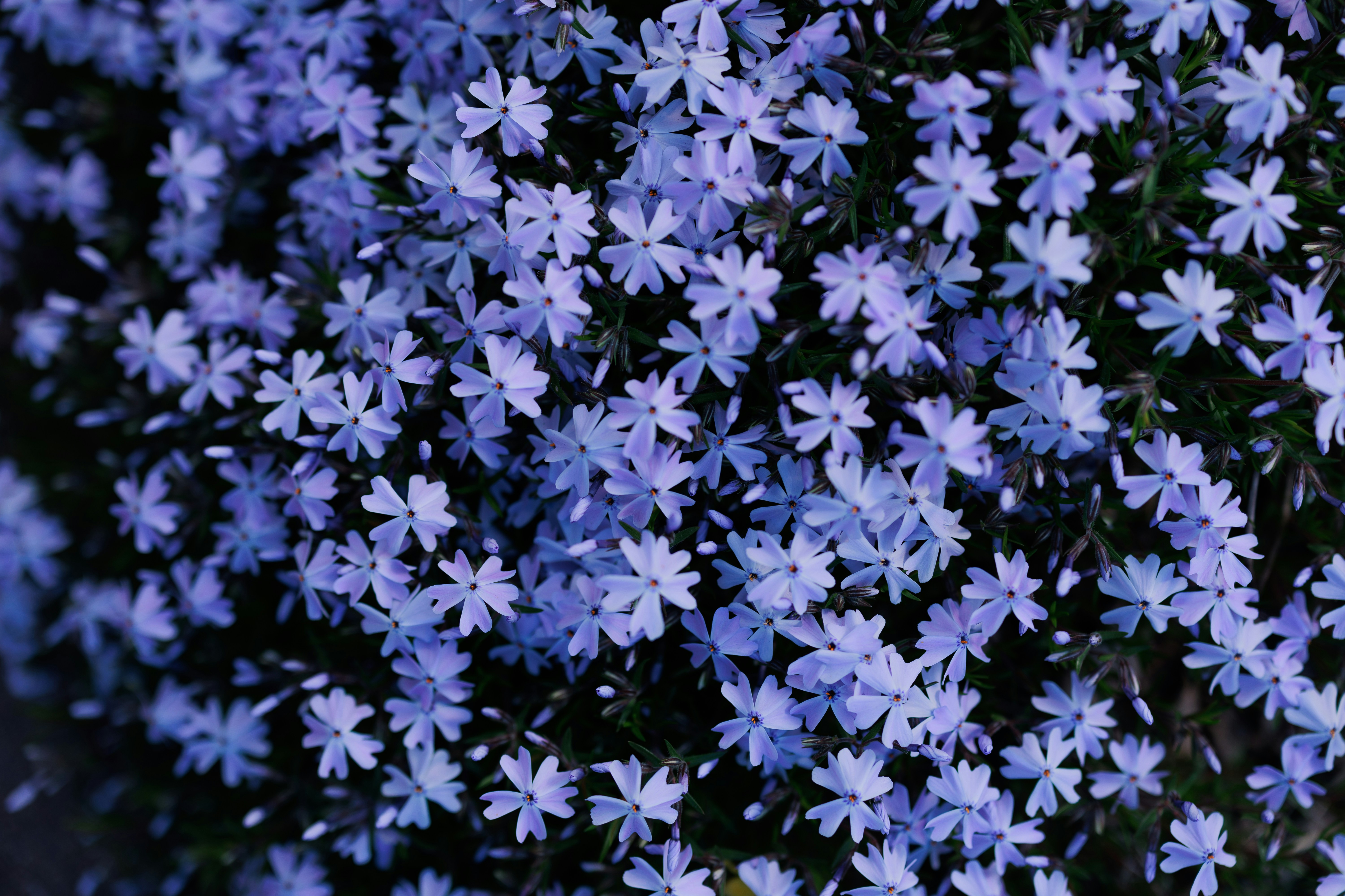 Photo by mercedesrenee93