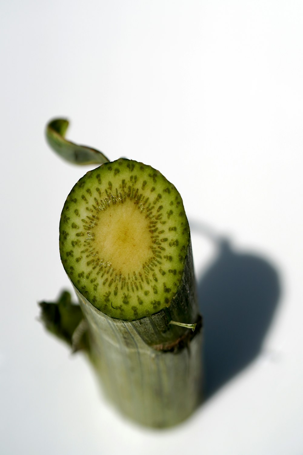 a close up of a cucumber on a white surface