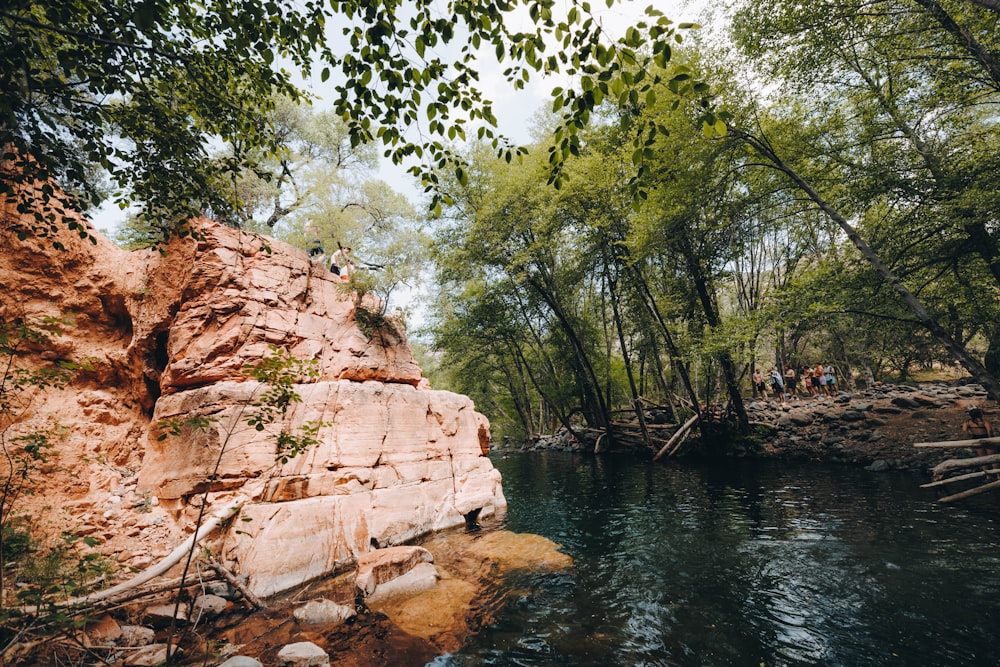 a river running through a lush green forest