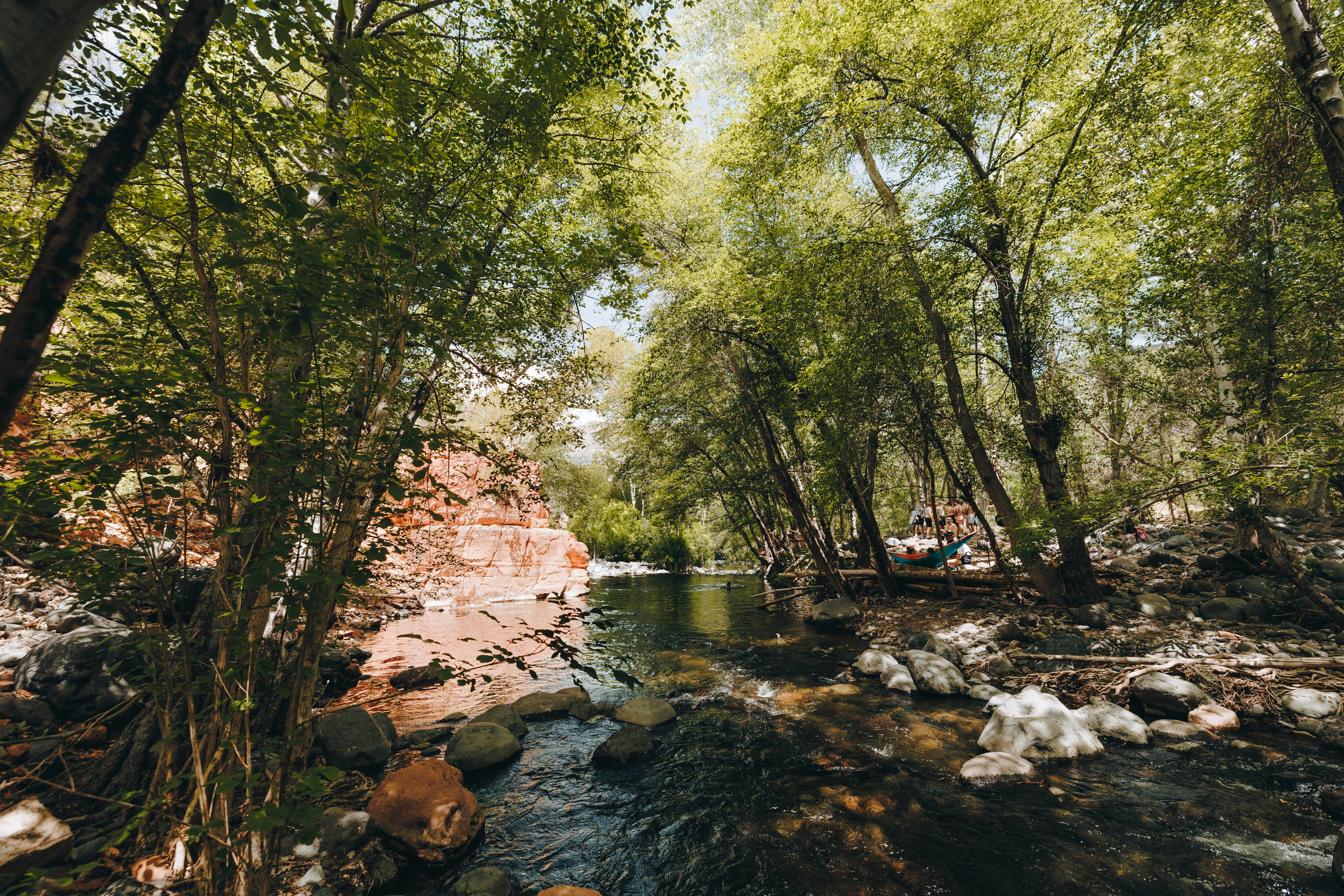 Photo by jeffersonsees