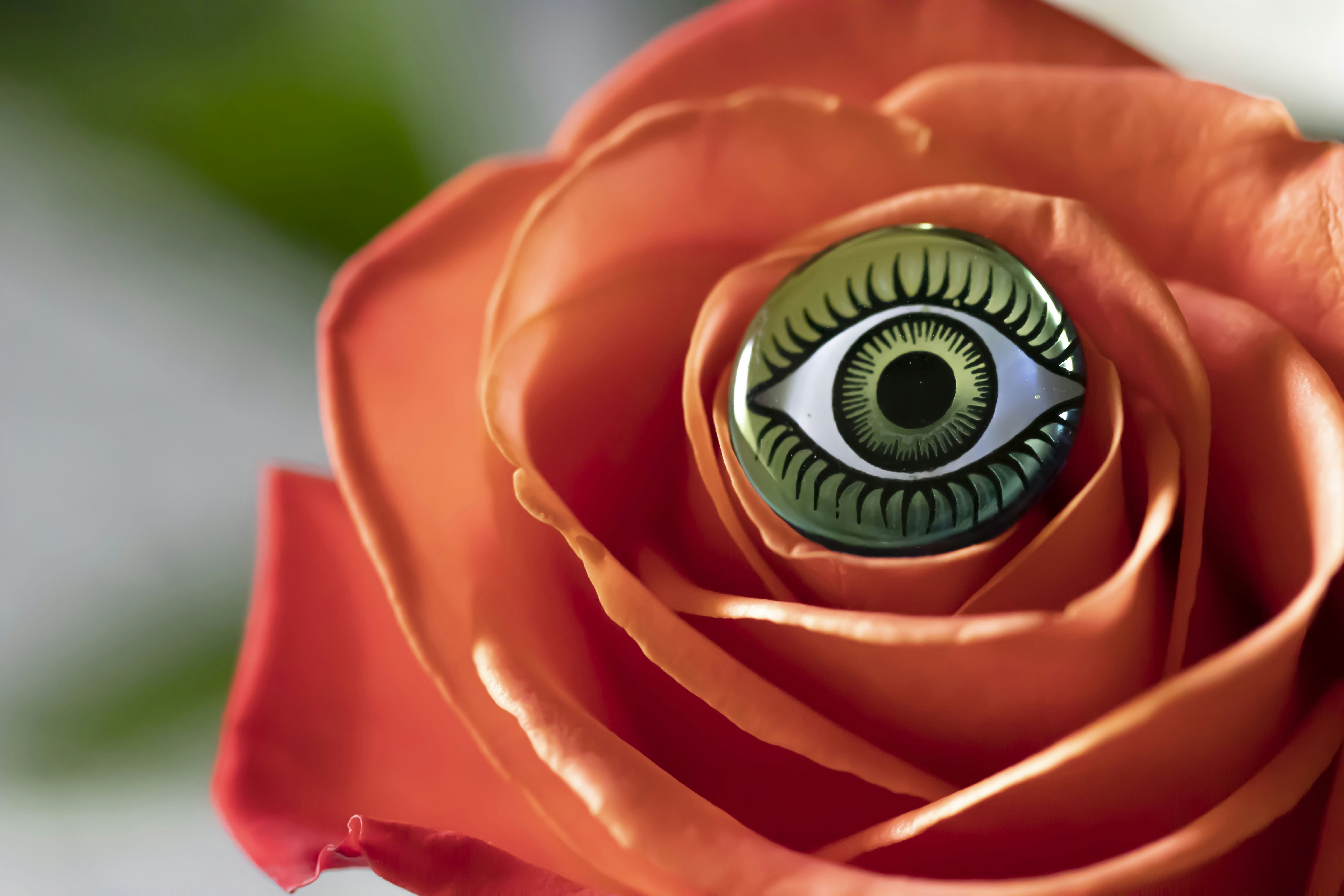 a close up of a rose with an eyeball in it