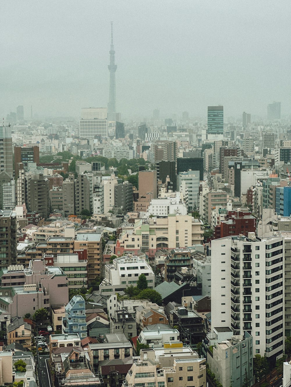 a view of a city with tall buildings