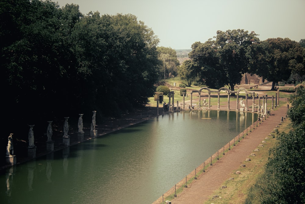 a body of water surrounded by lots of trees