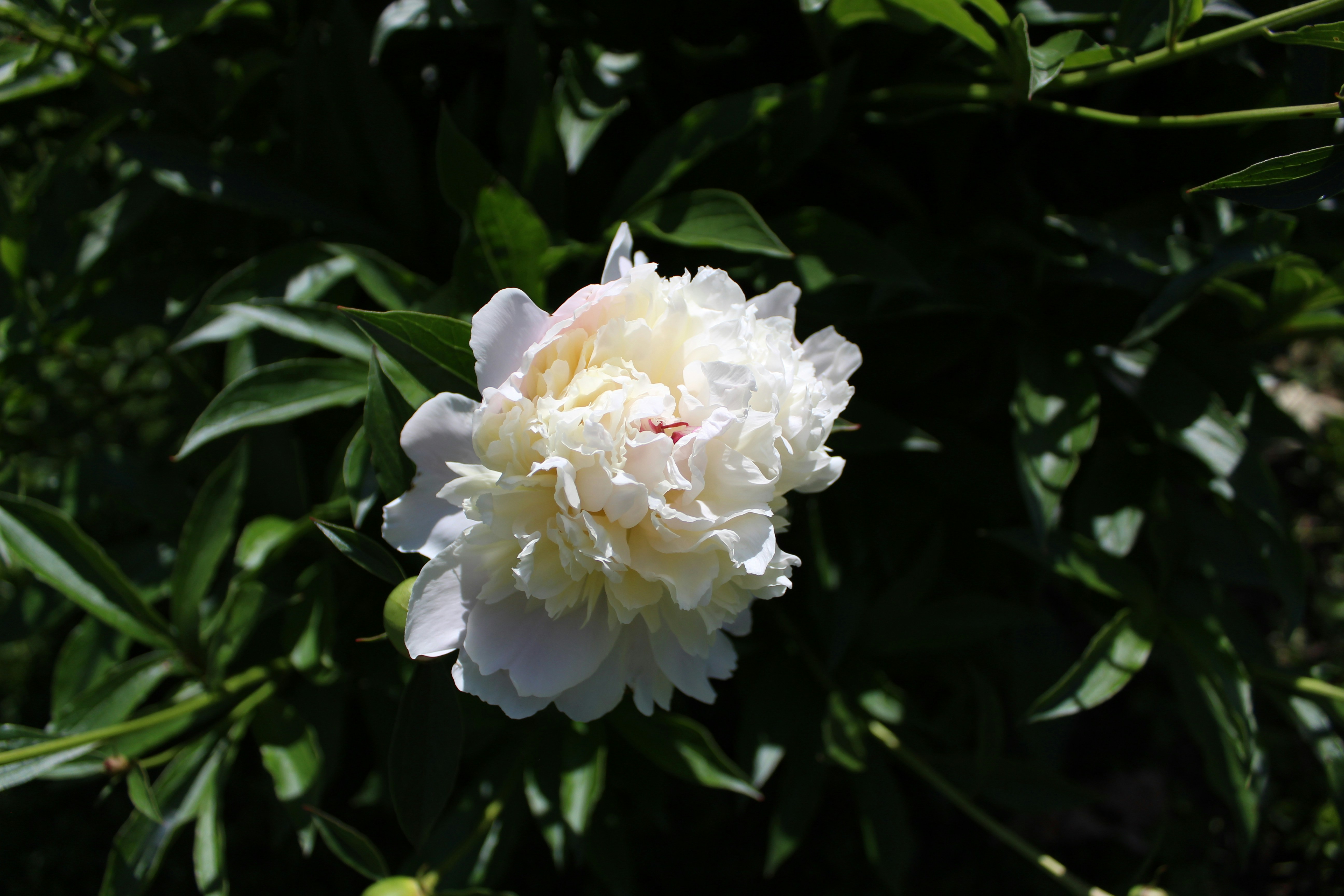 Photo by owenaweather26