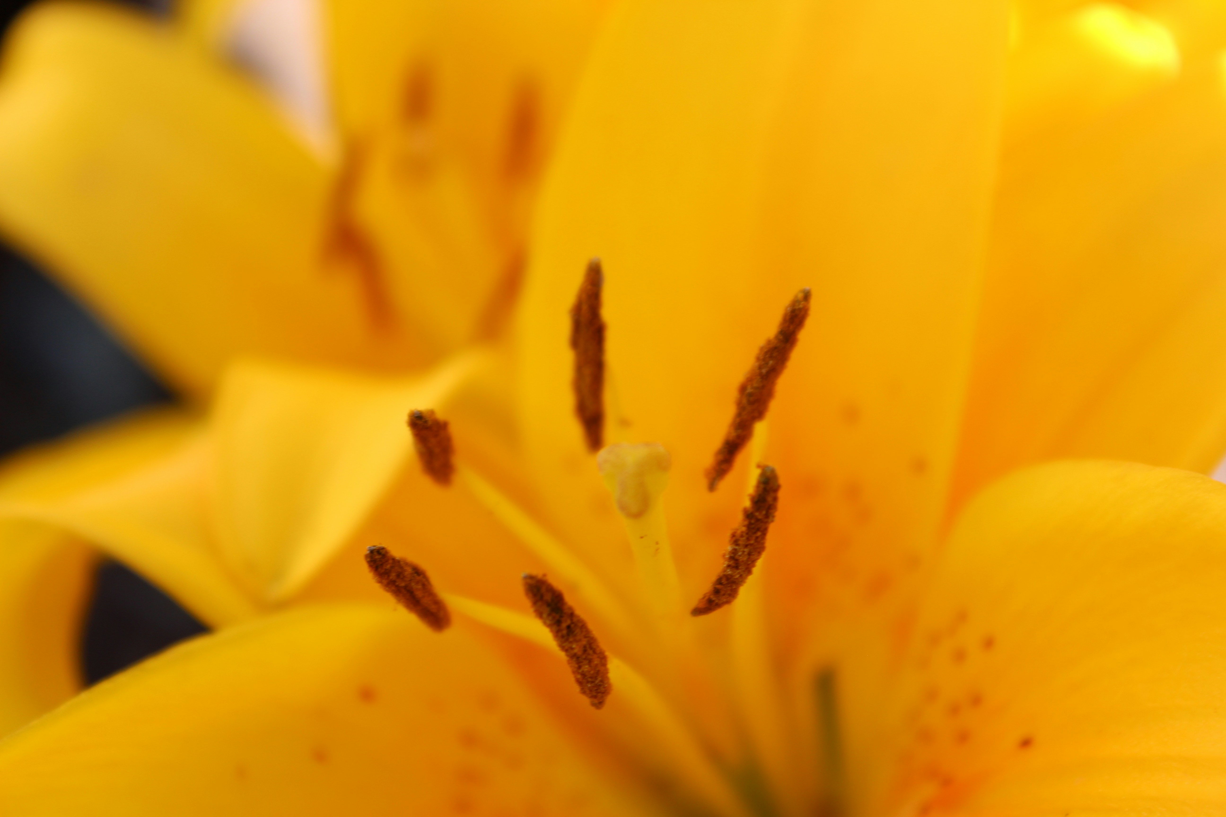 Photo by owenaweather26