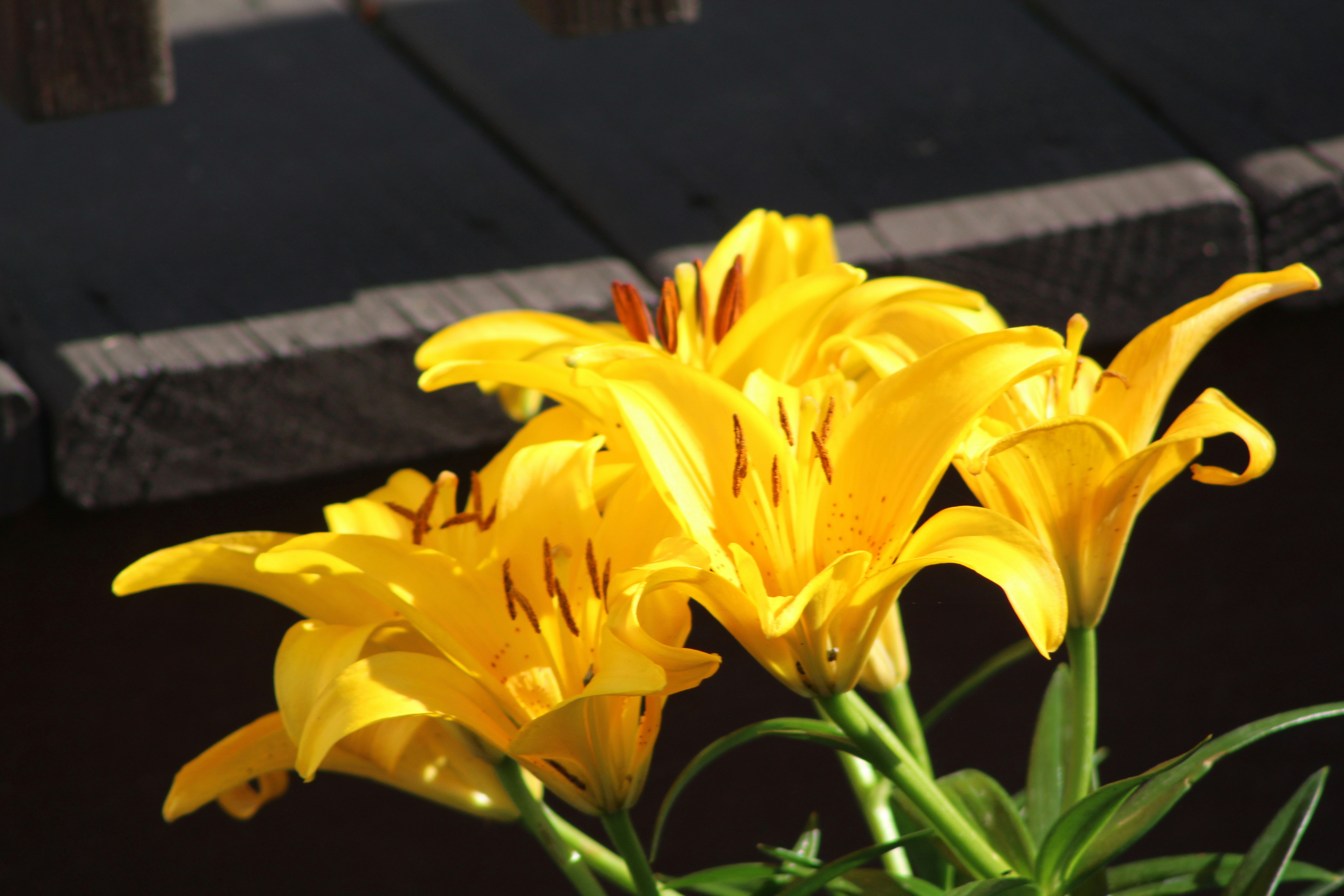 Photo by owenaweather26