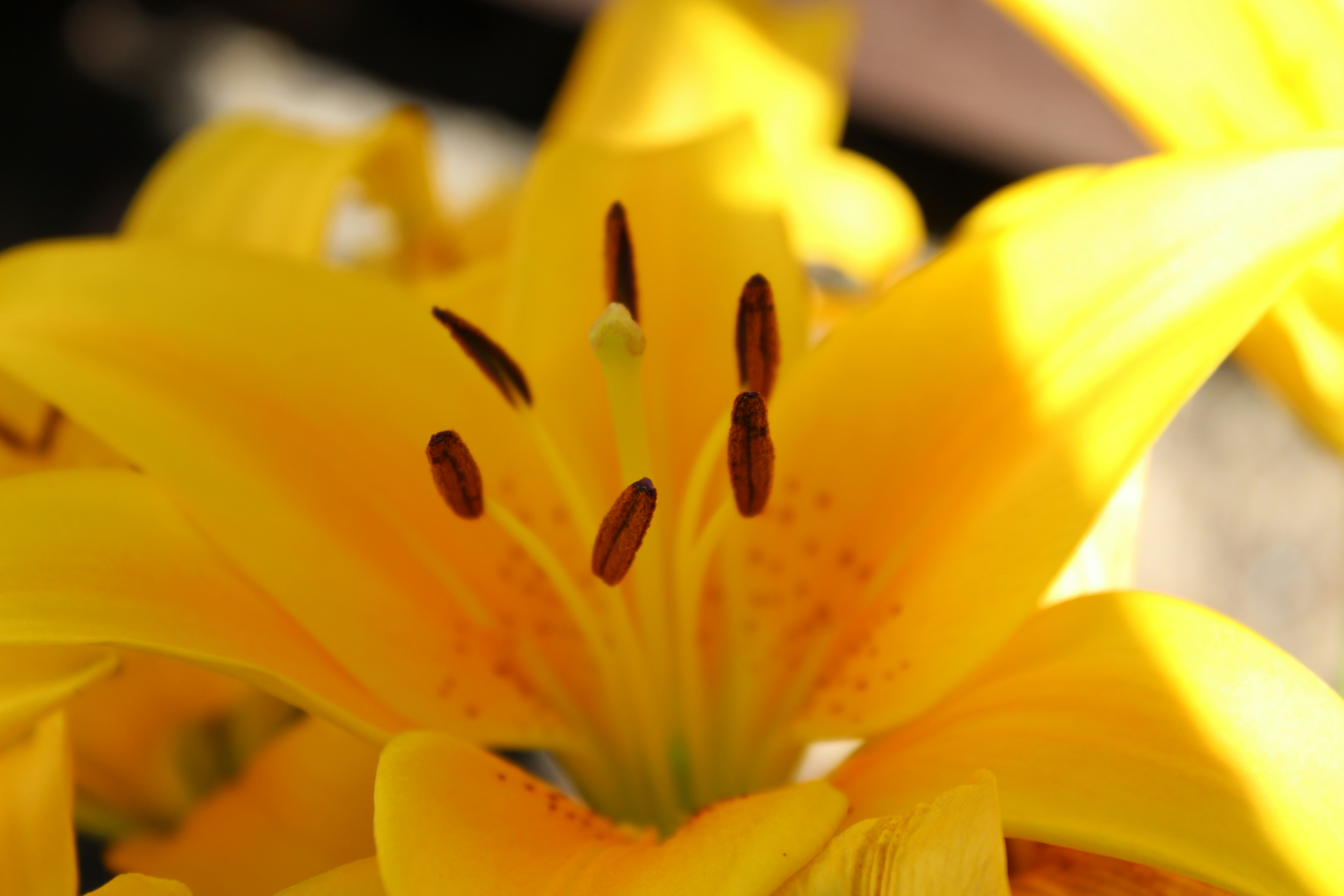 Photo by owenaweather26