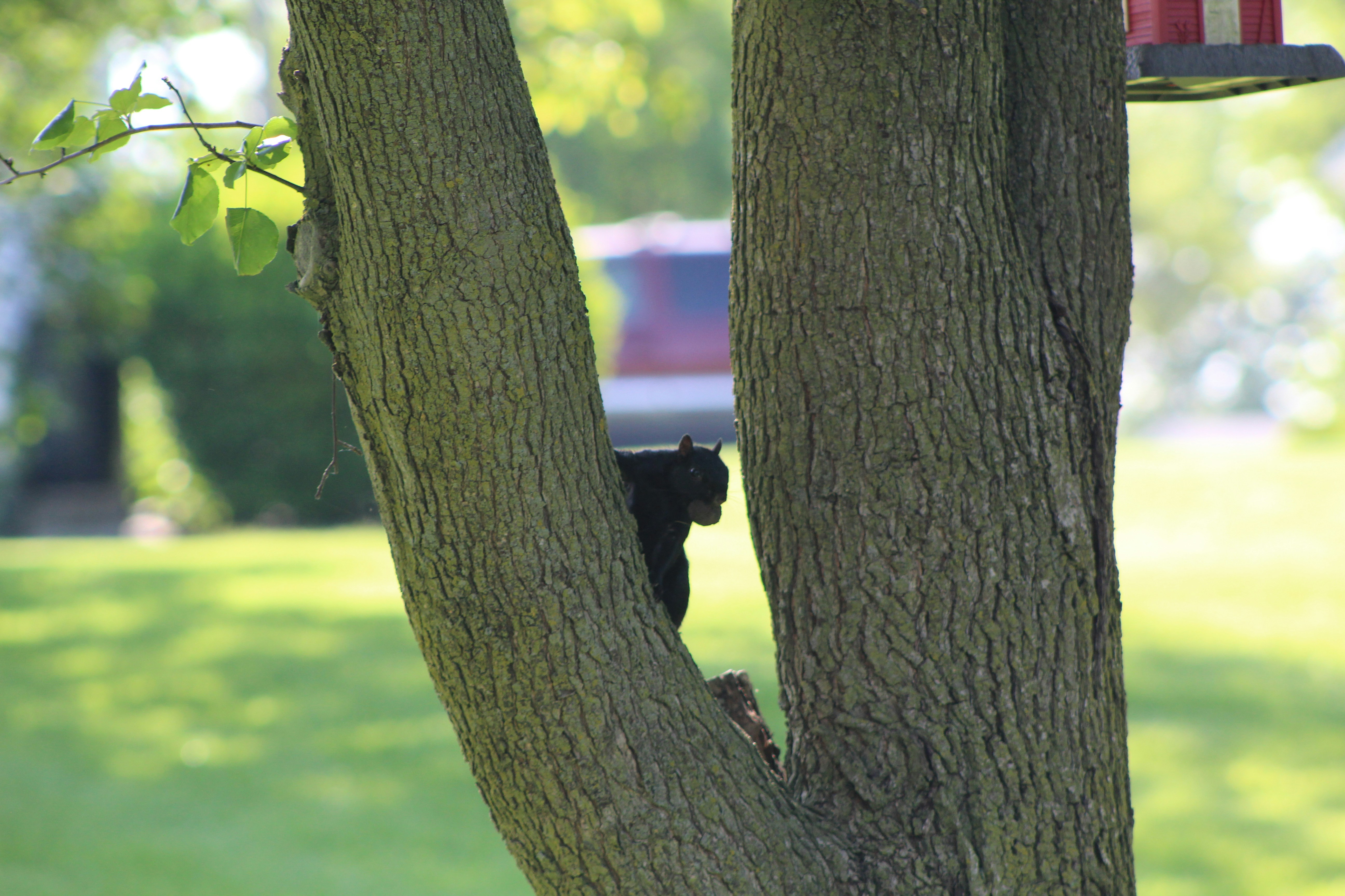 Photo by owenaweather26