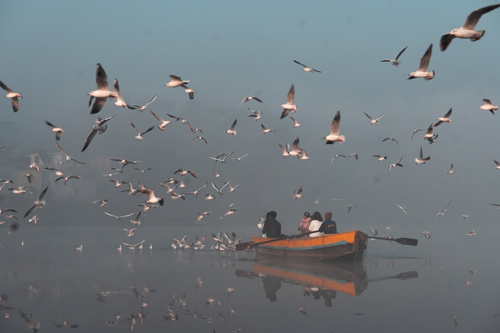 a group of people in a small boat surrounded by seagulls