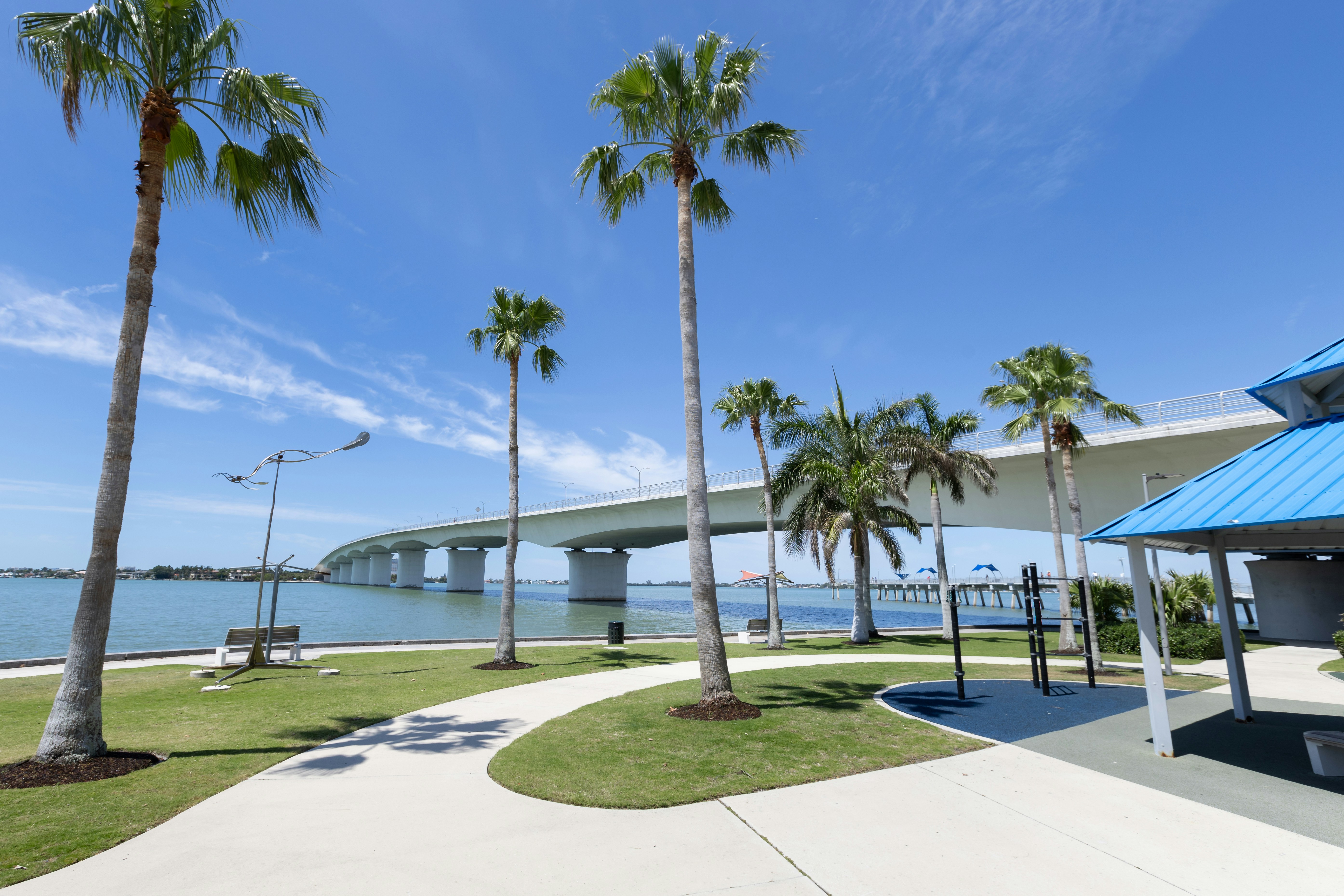 Pre-College at Ringling