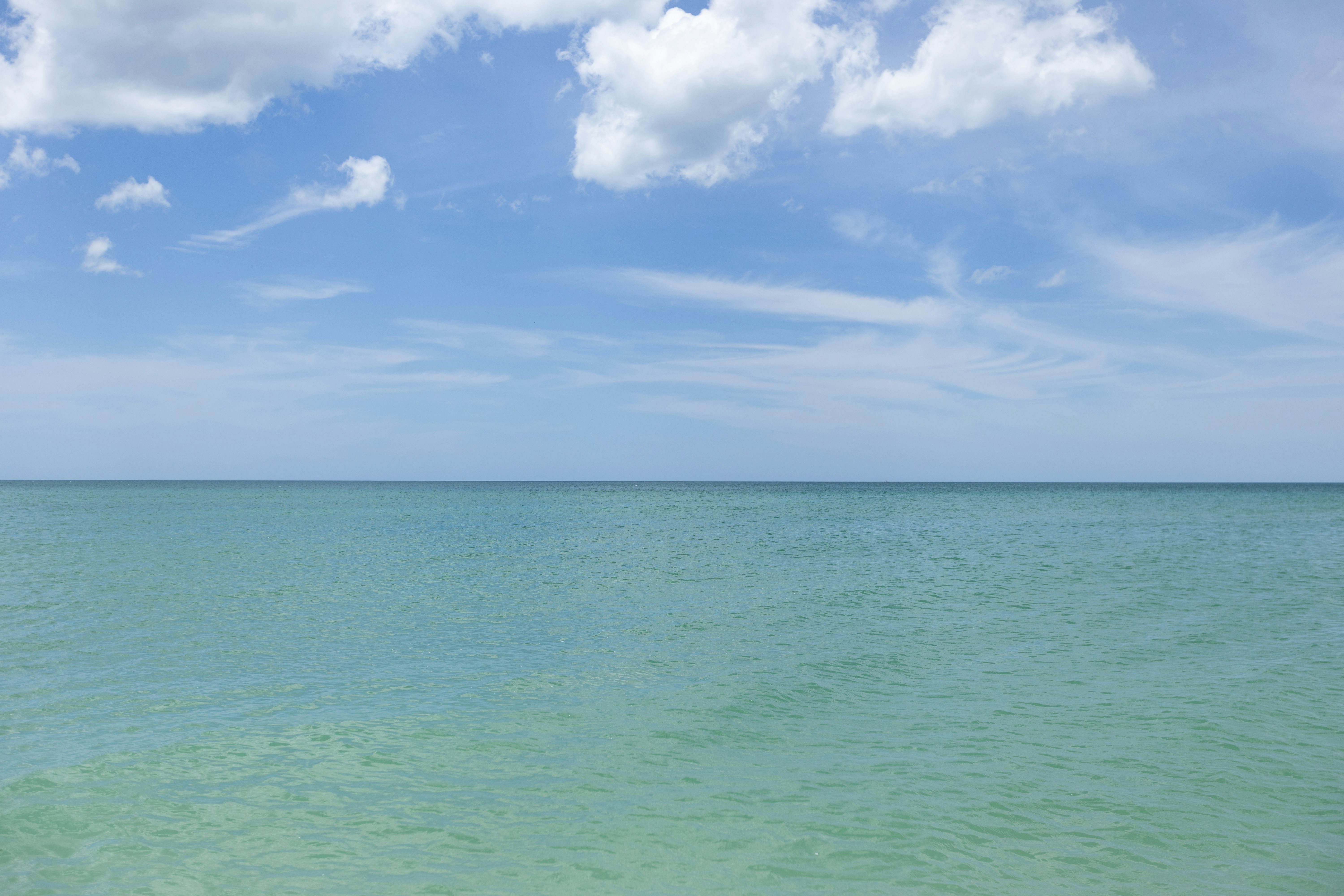 Photo by goosepicklefire