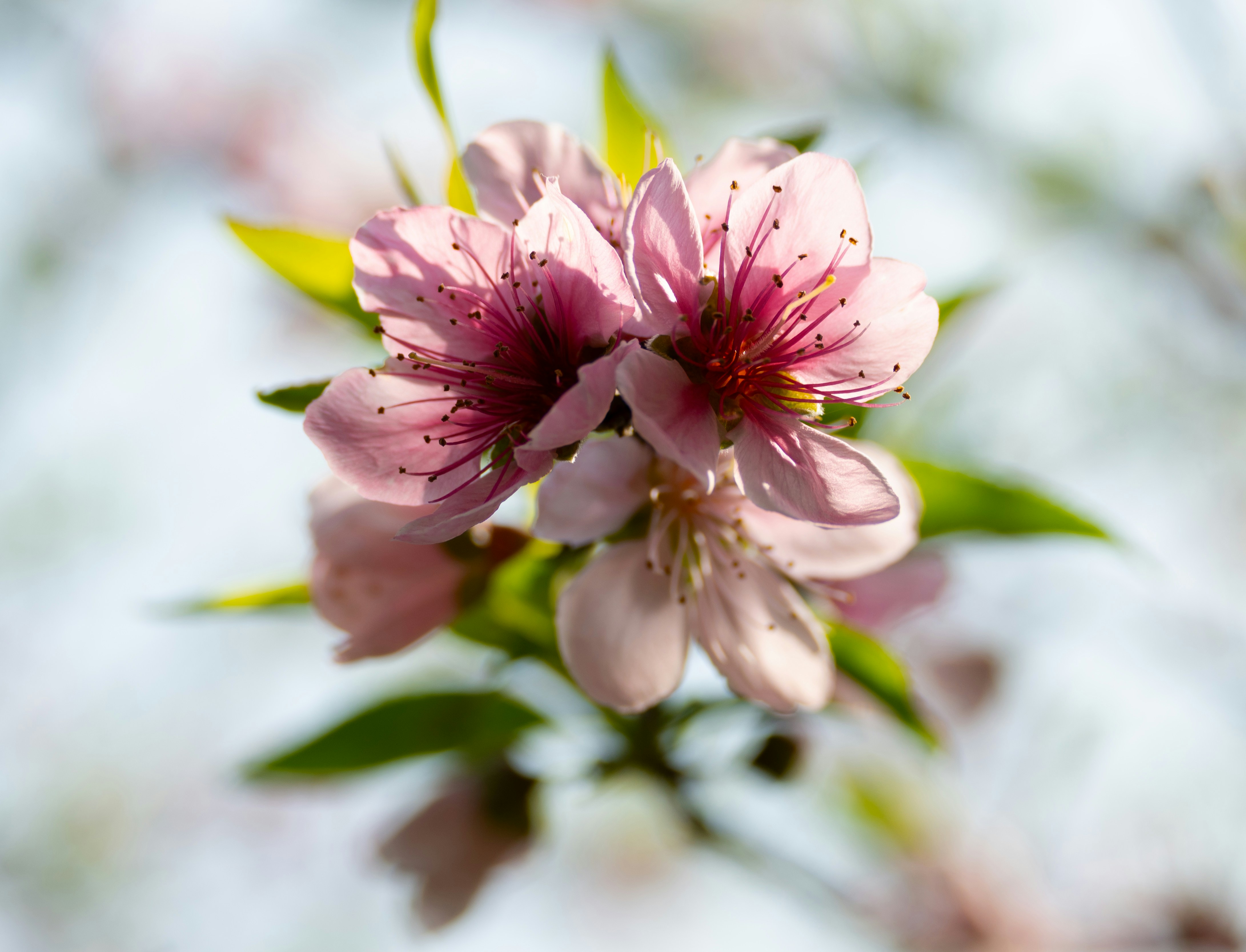 Photo by throughmylens801