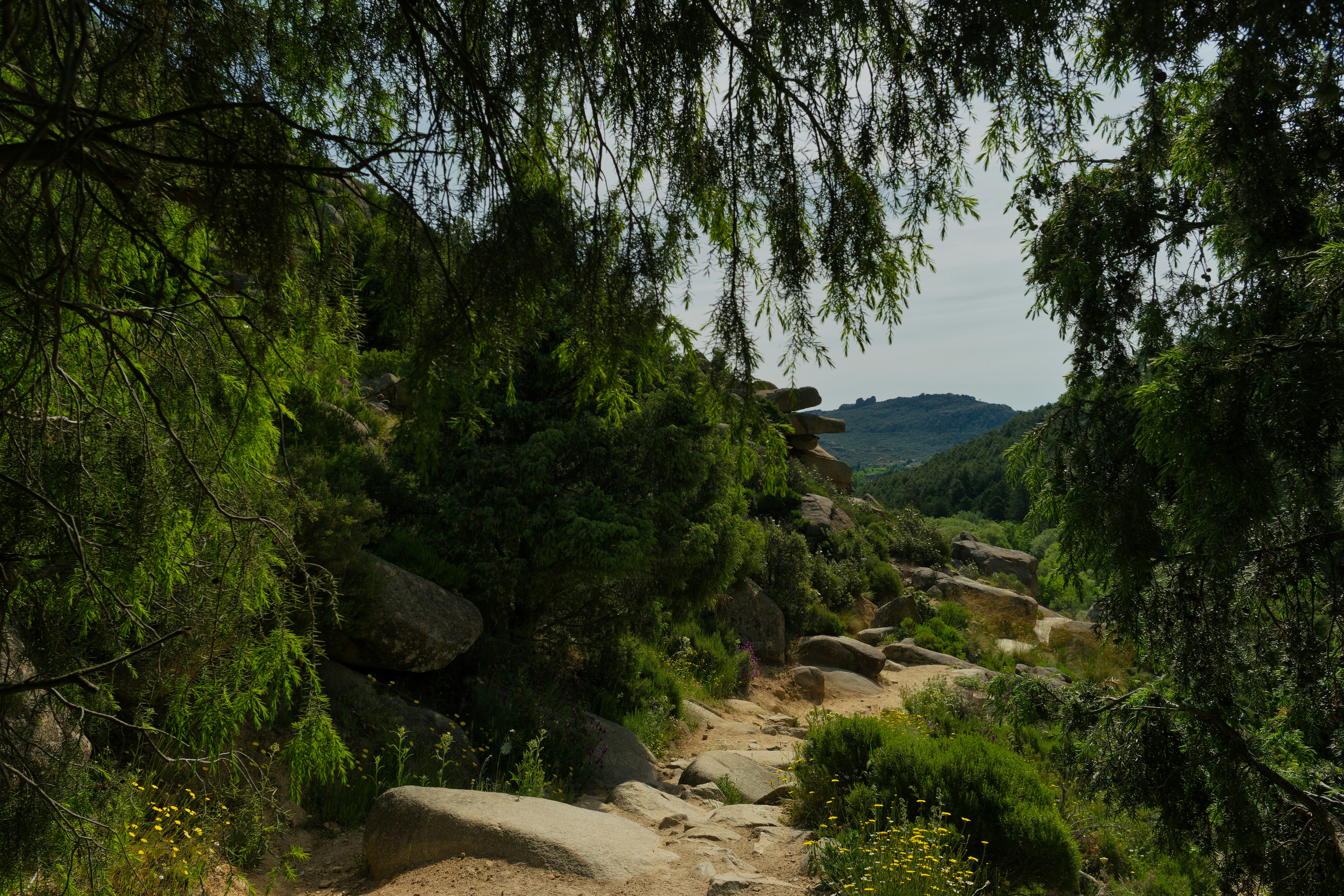 Cerro de las Posas Park