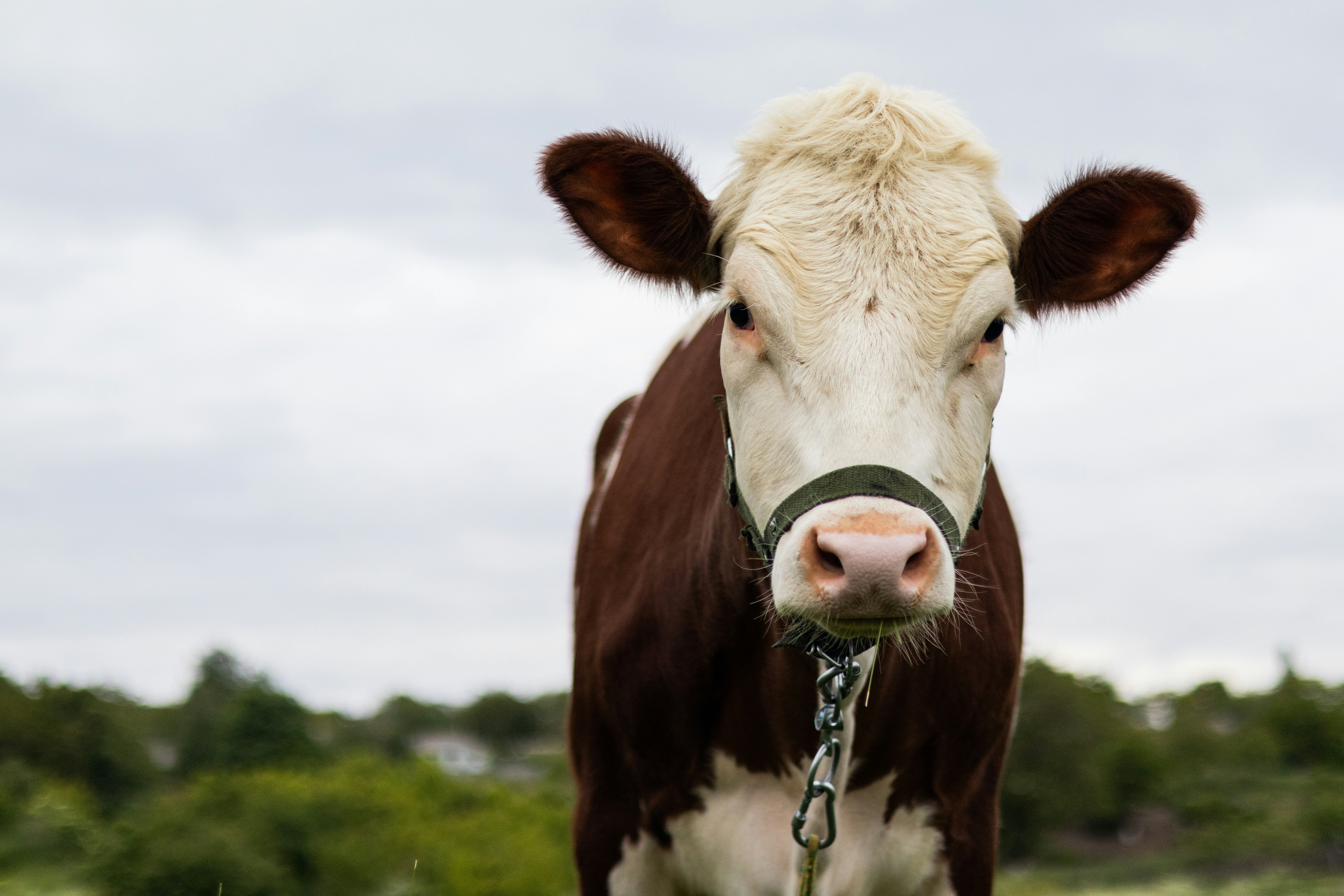 Photo by anyutakejbalo