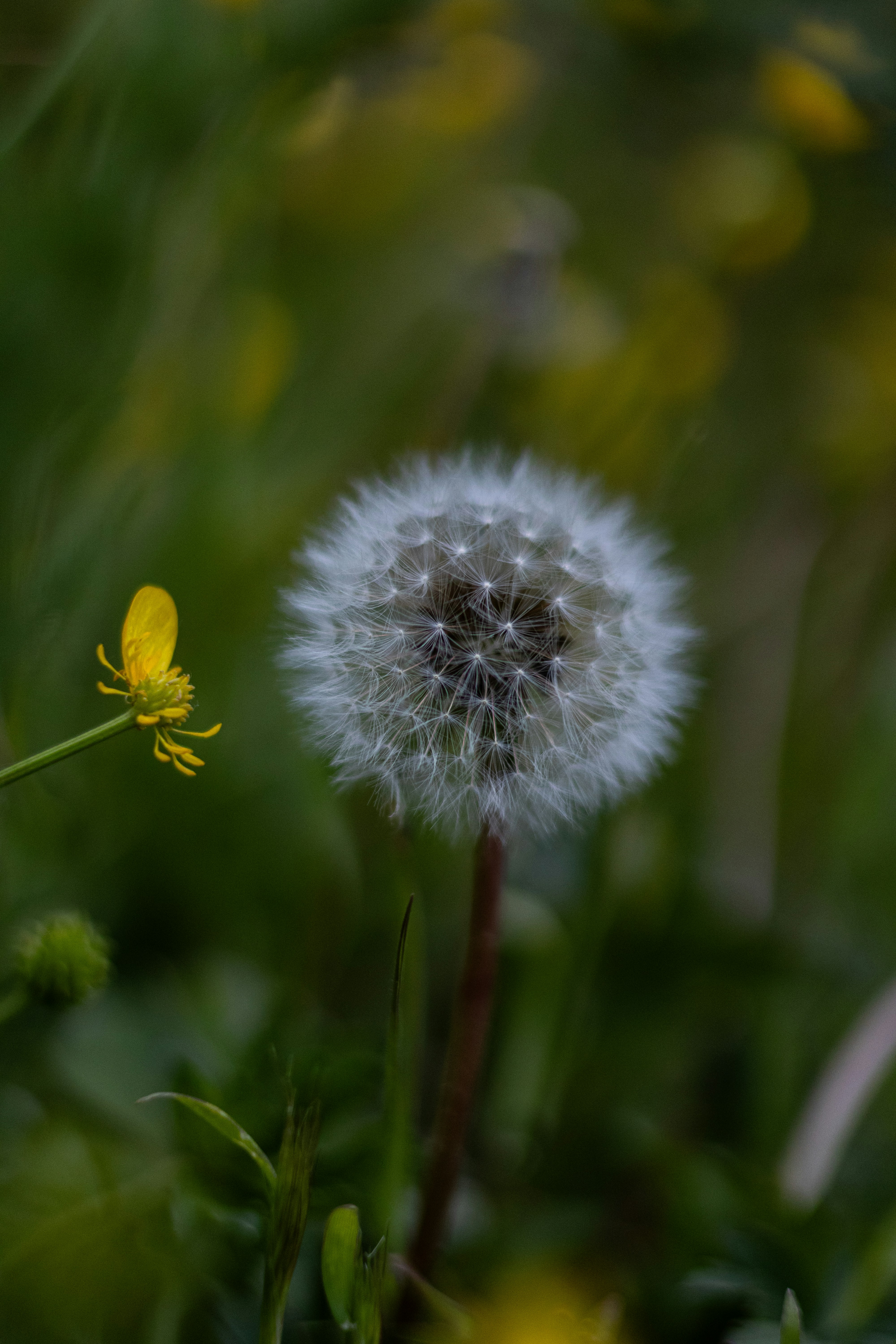 Photo by anyutakejbalo