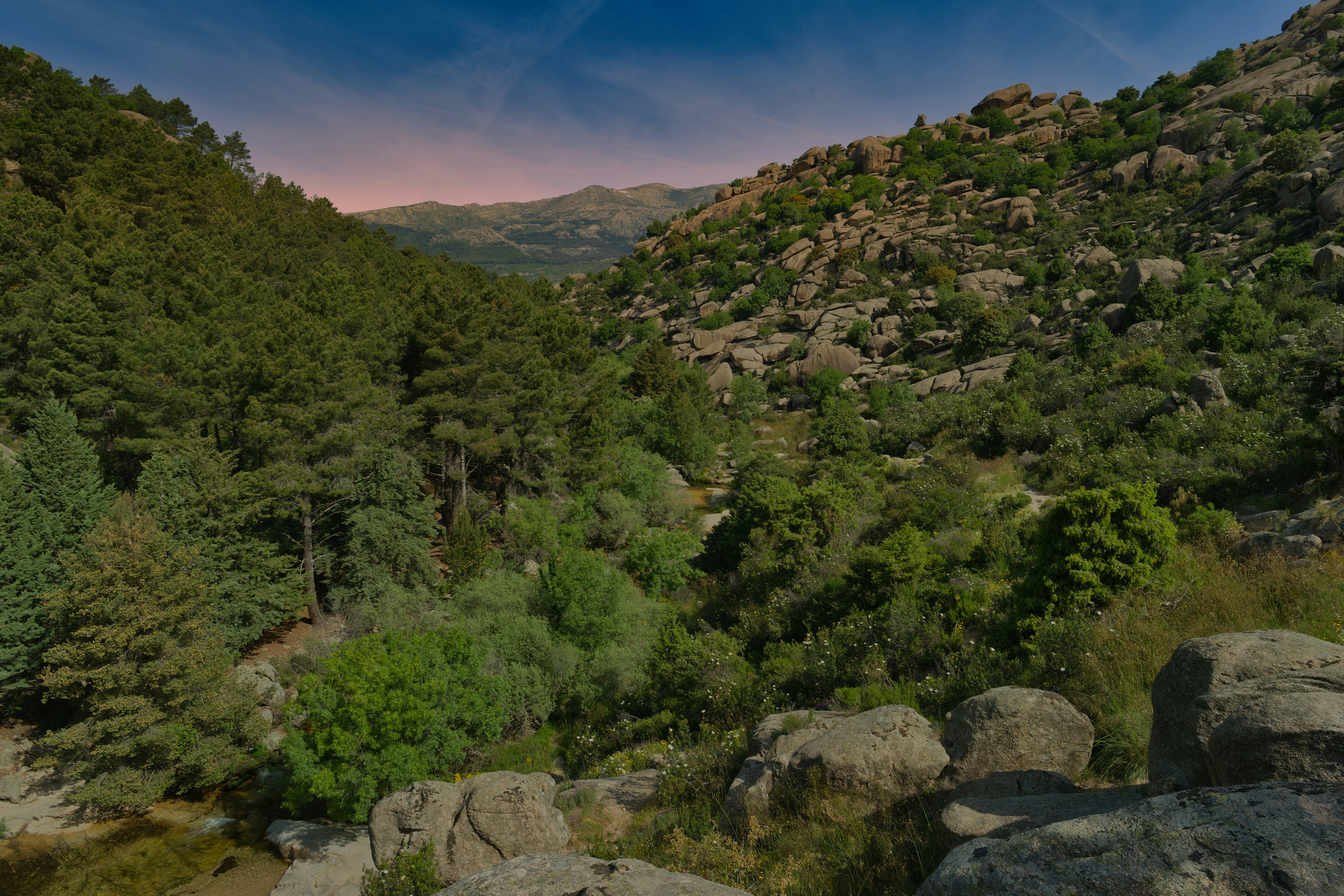 Image by piotr sawejko via Unsplash