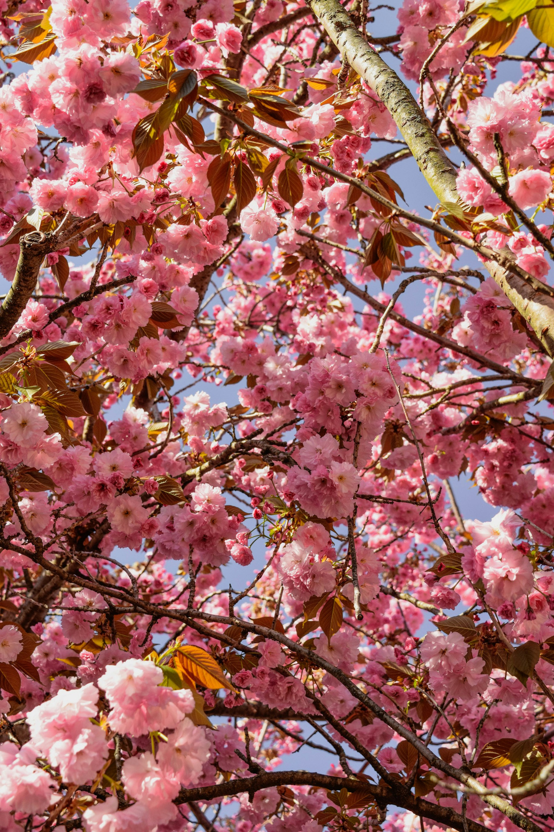 Photo by marthamonjaras