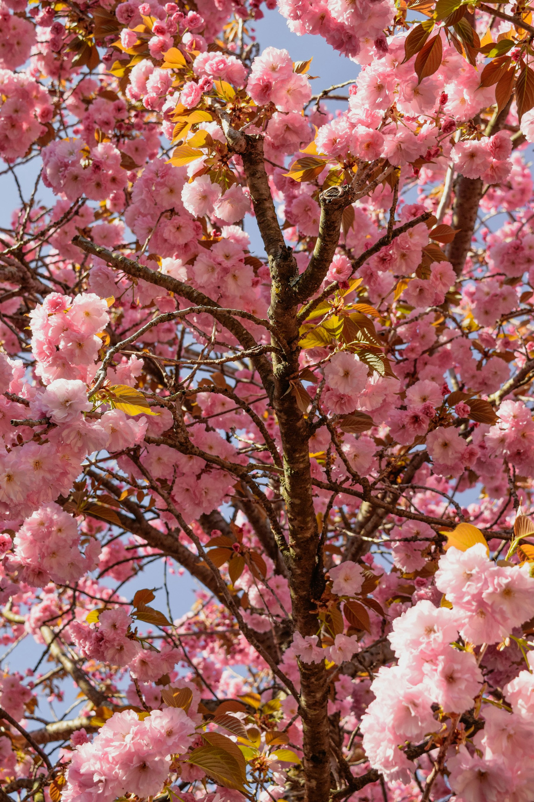 Photo by marthamonjaras