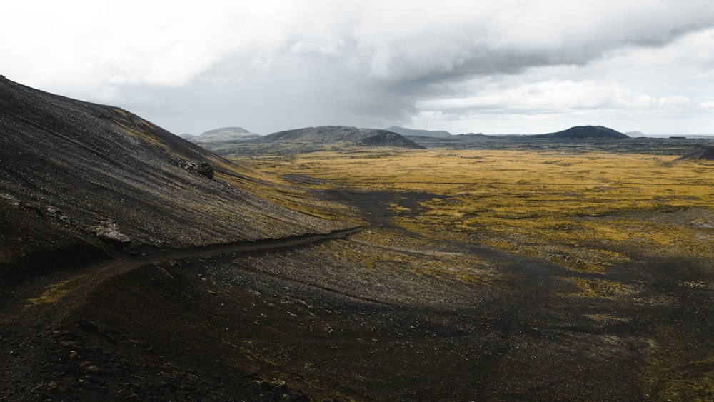 a dirt field with yellow flowers and mountains in the background