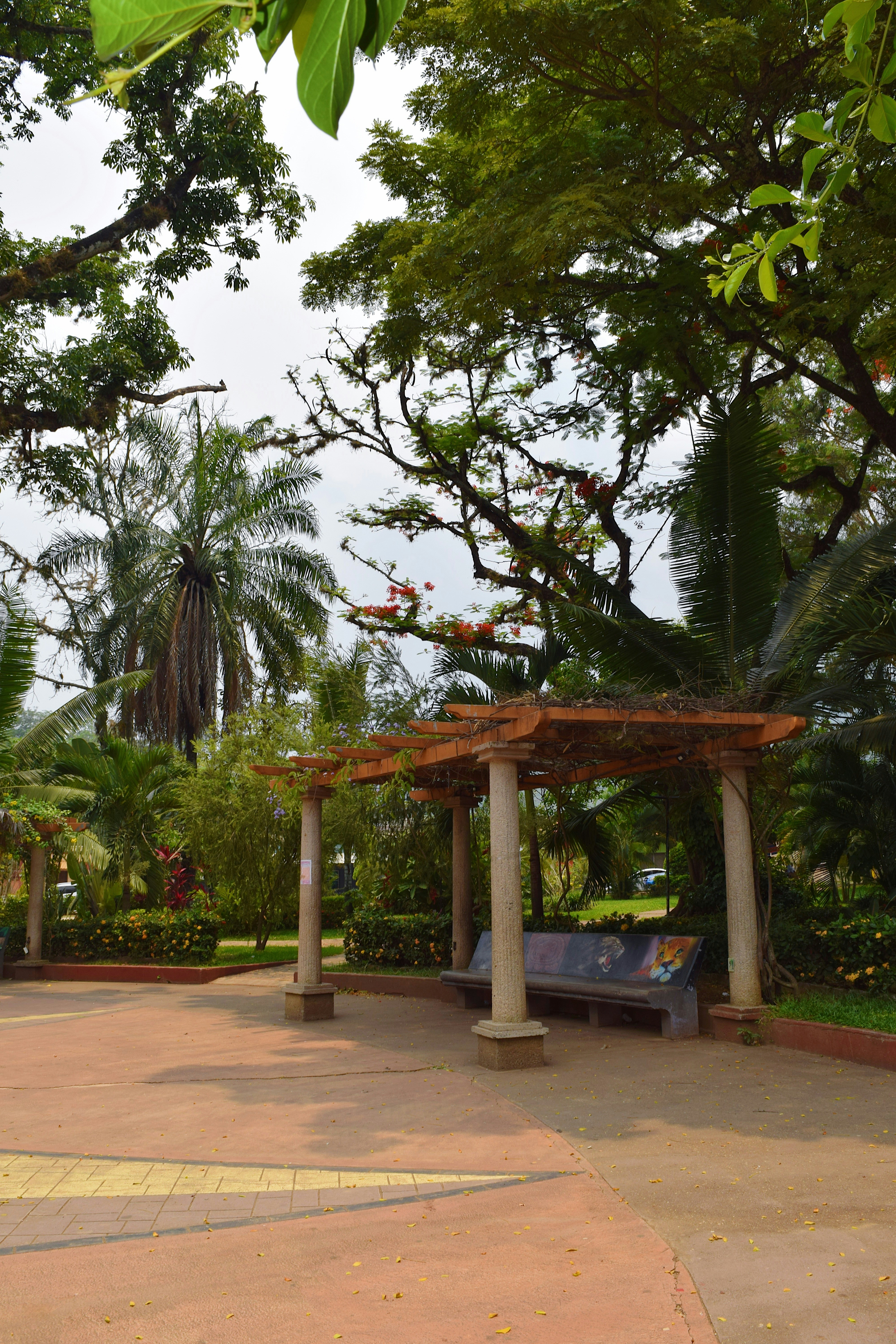 Photo by marthamonjaras