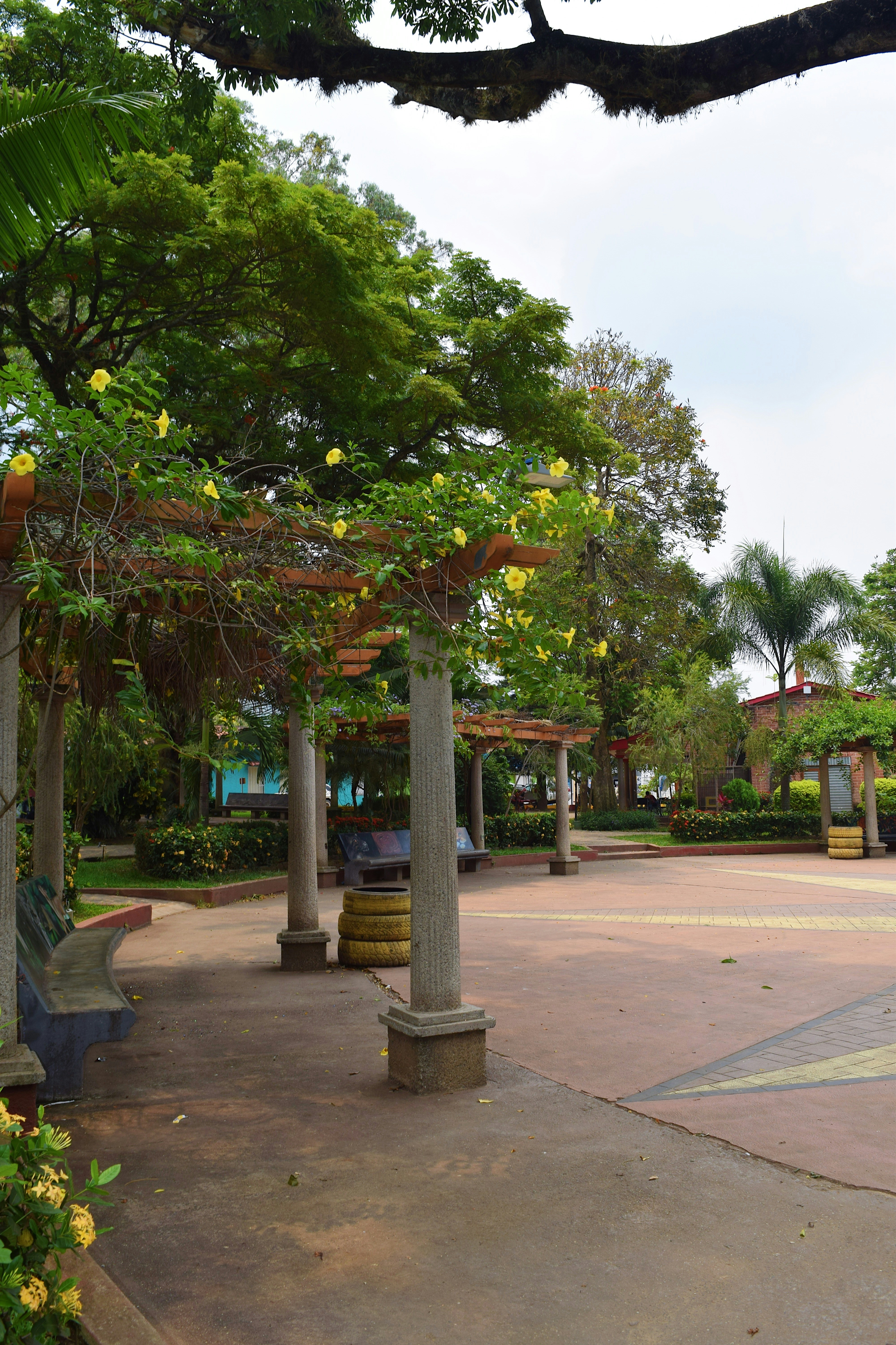 Photo by marthamonjaras