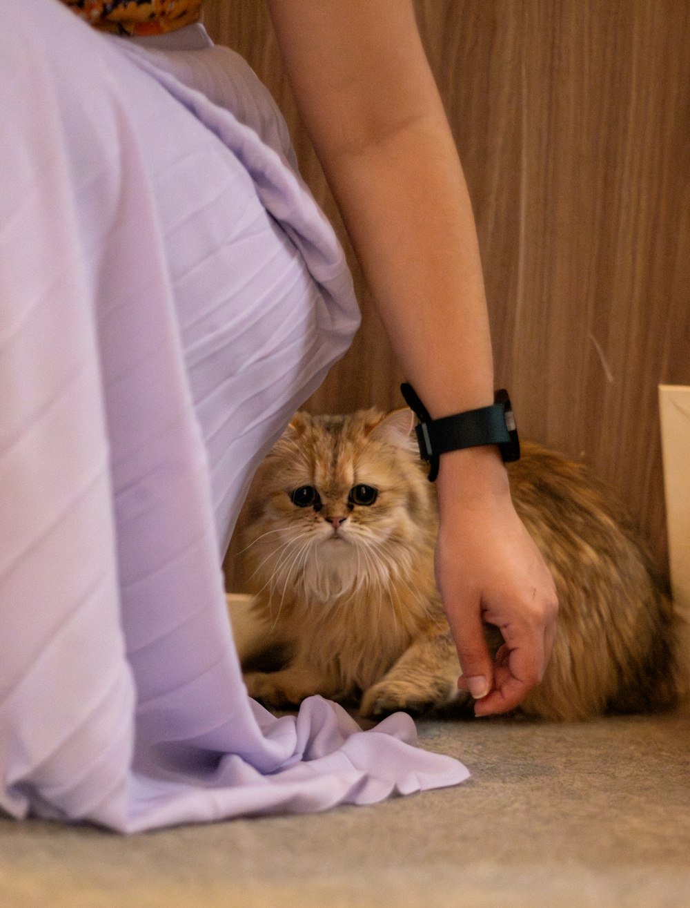 a woman is petting a cat on the floor