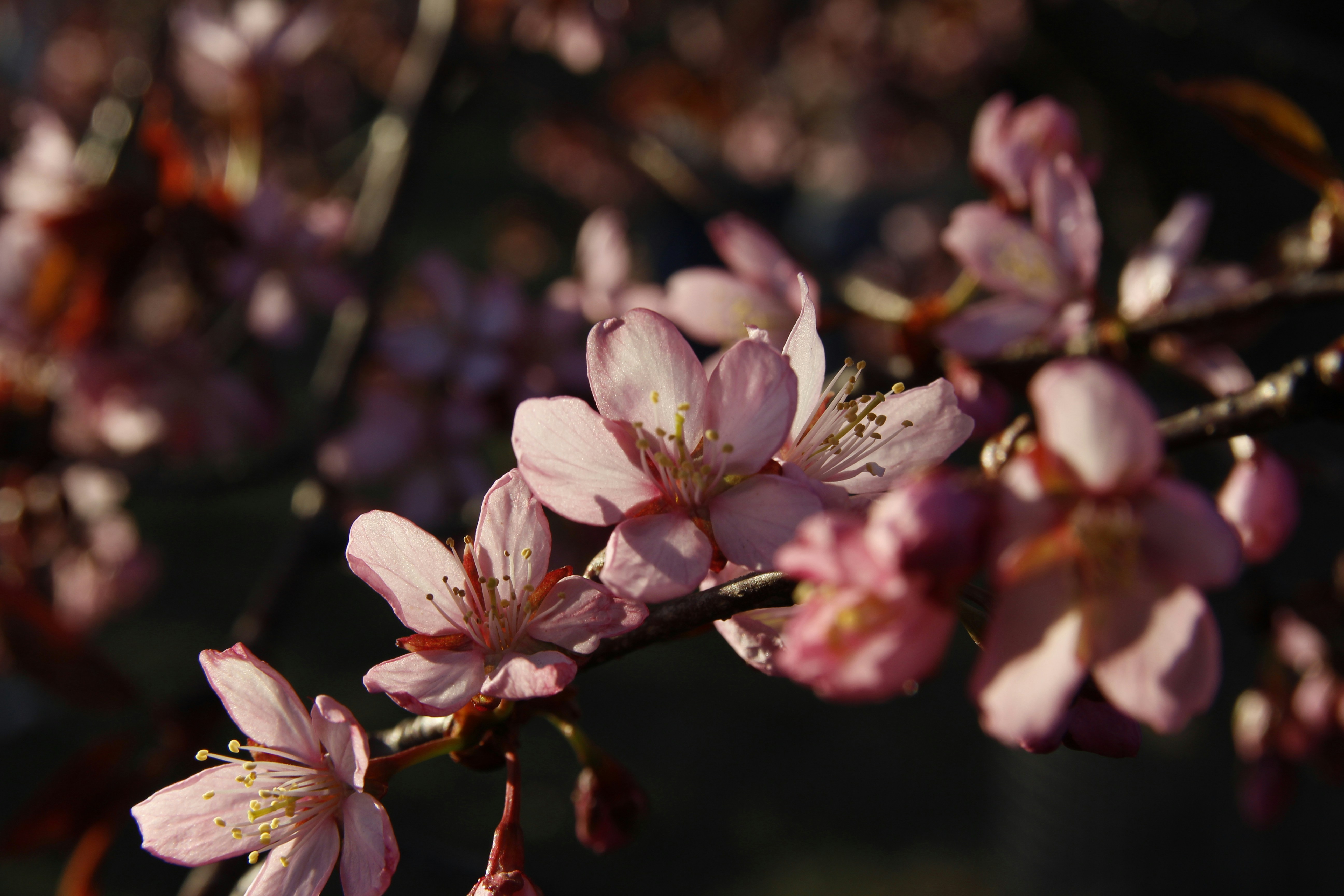 Photo by egemensahiin