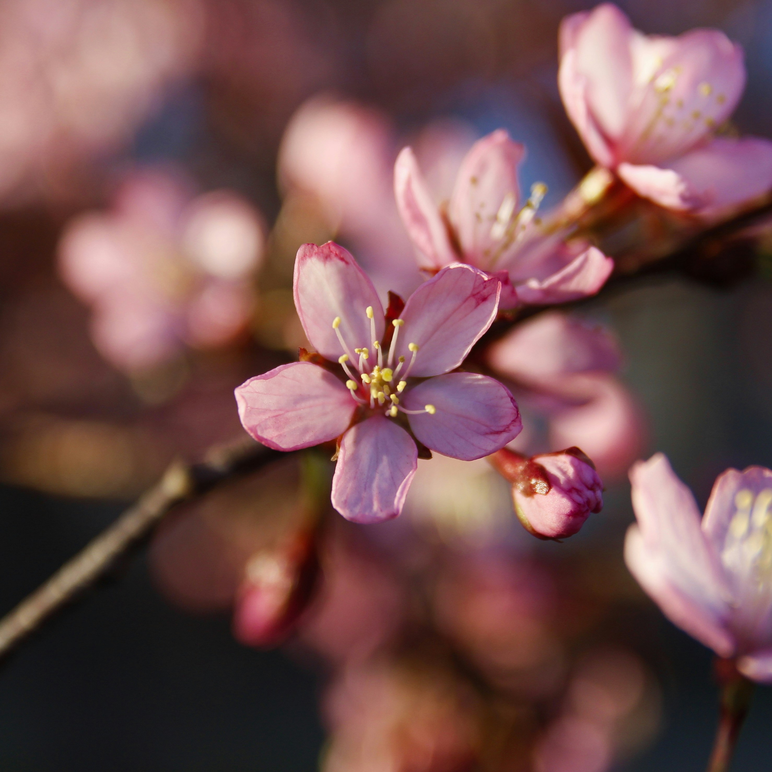 Photo by egemensahiin