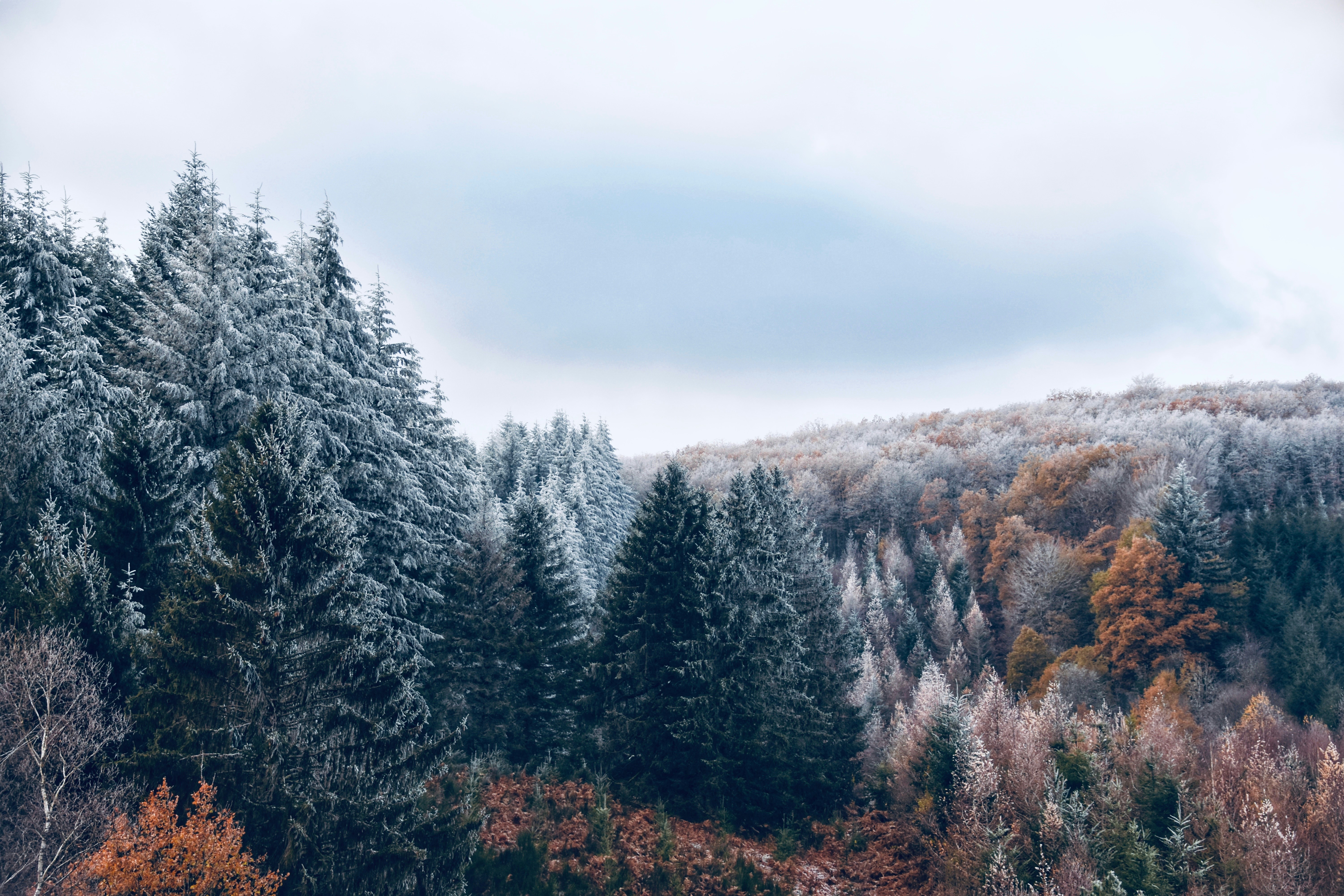 Photo by artofnature