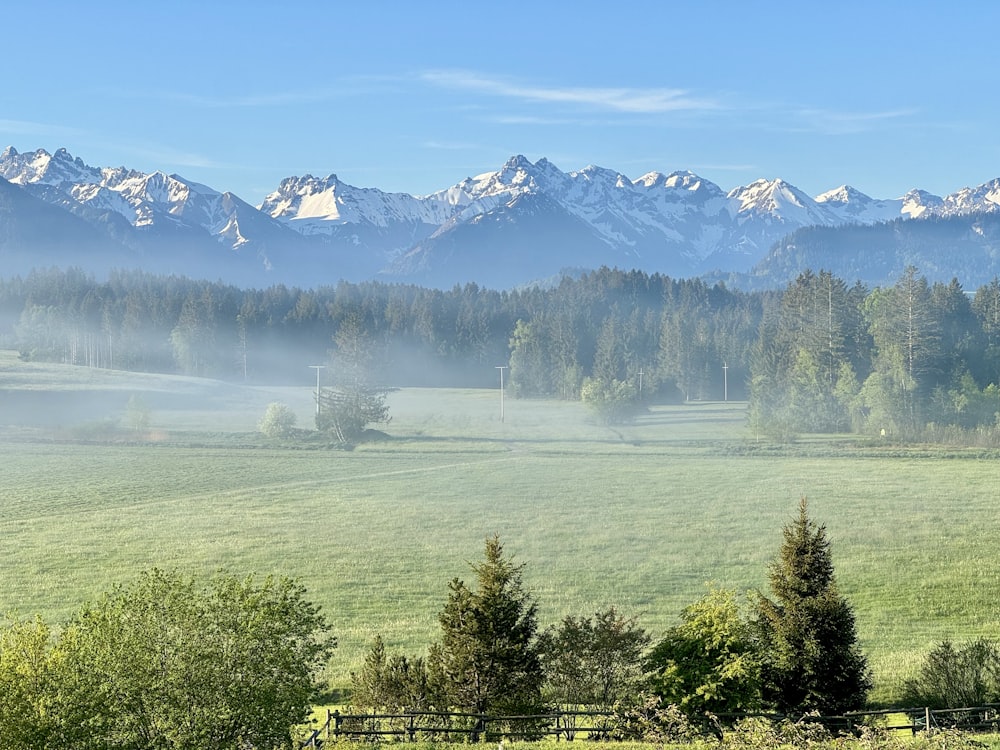 a field with a fence and mountains in the background