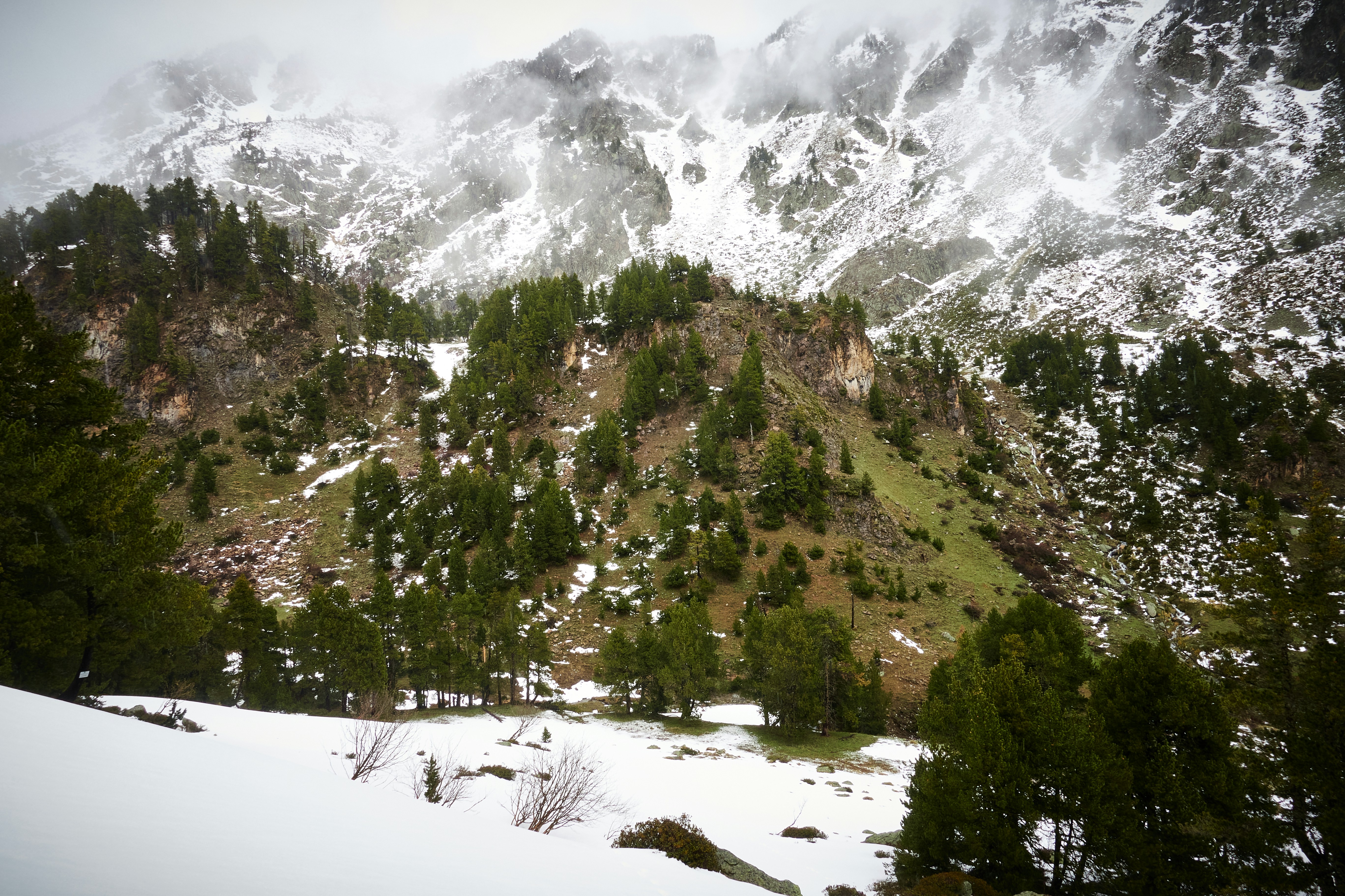 une montagne couverte de neige et d’arbres