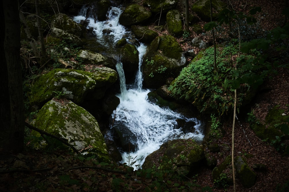 a small waterfall in the middle of a forest