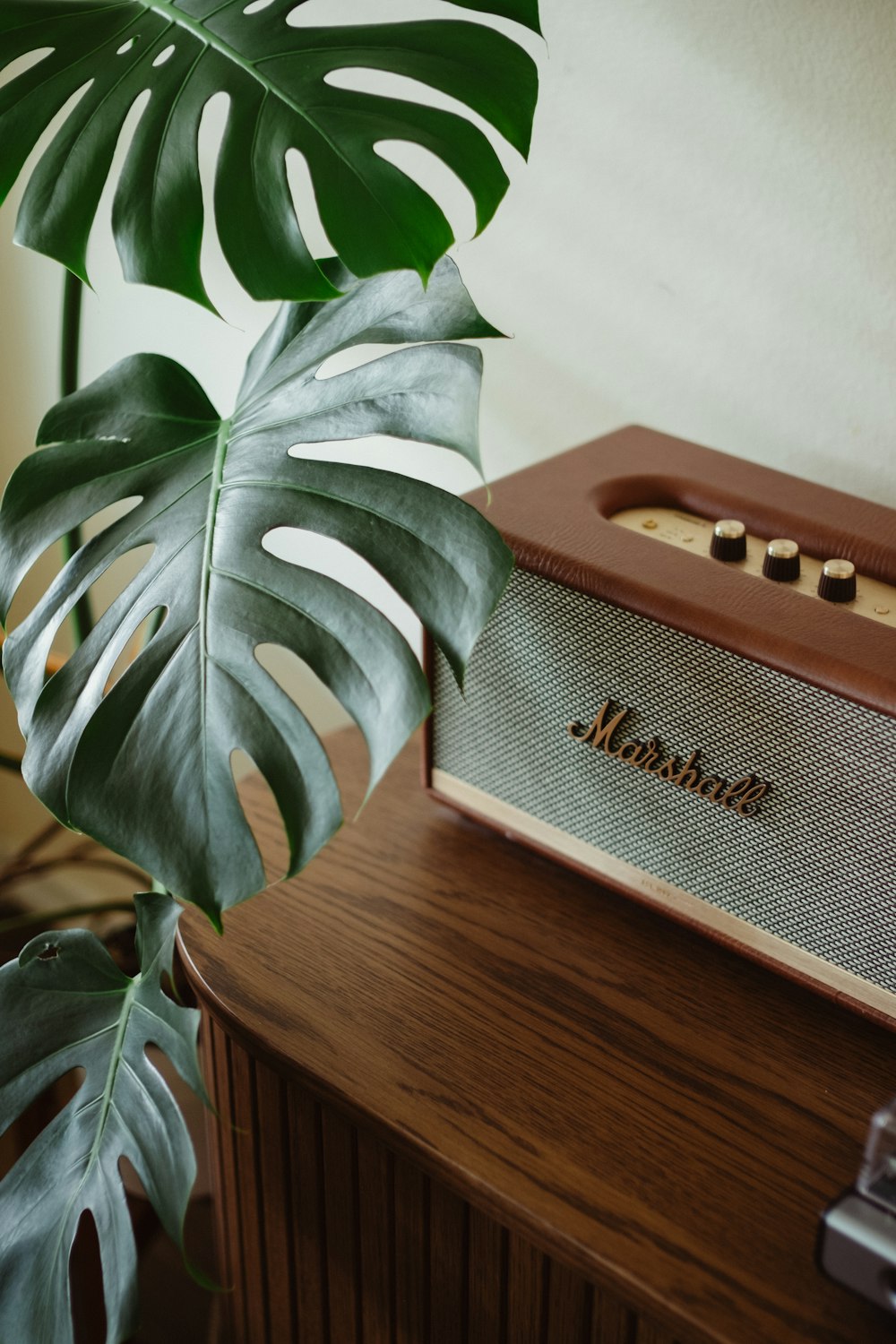 a radio sitting on top of a wooden table next to a plant