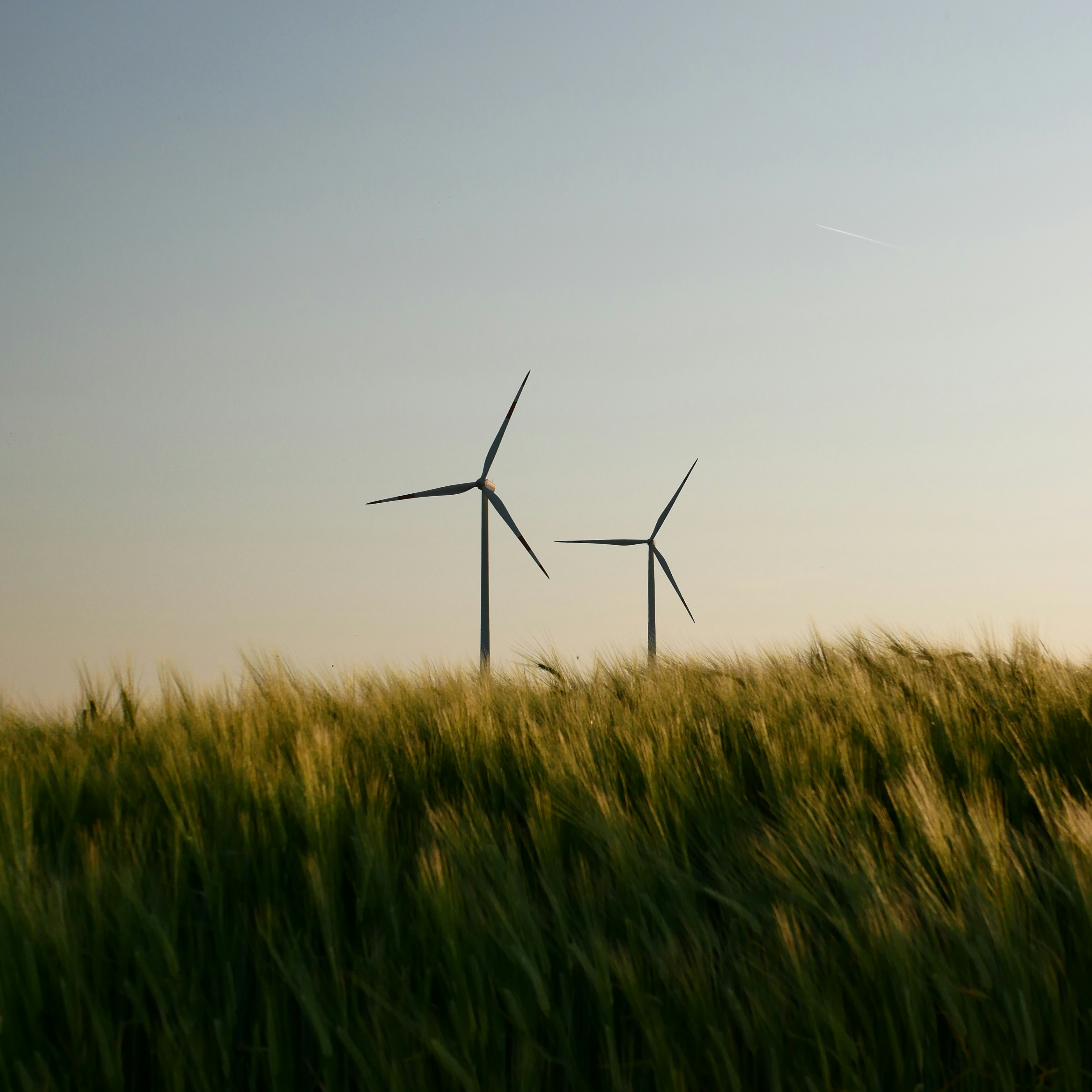 Photo by vmdpictures